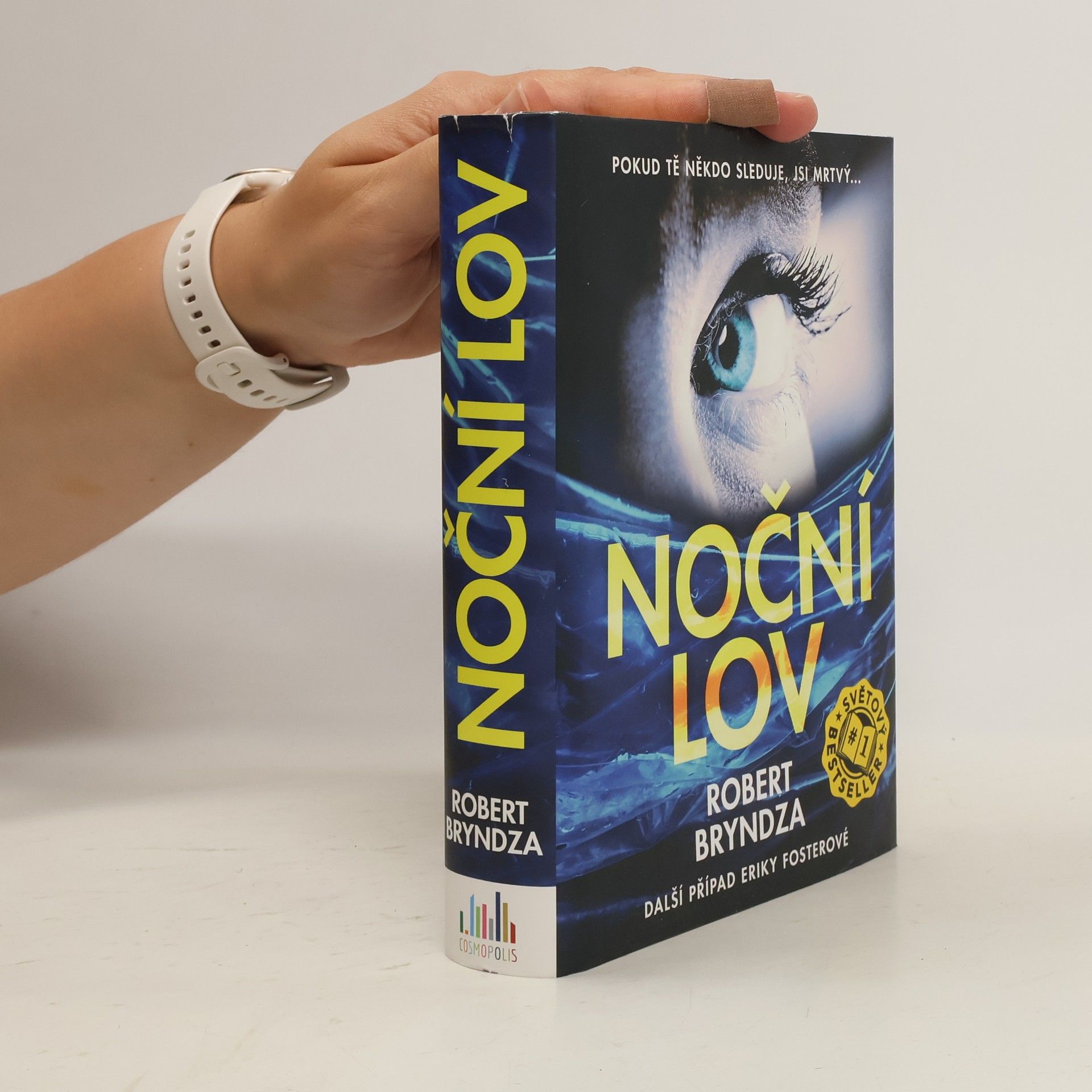 Robert Bryndza Noční lov