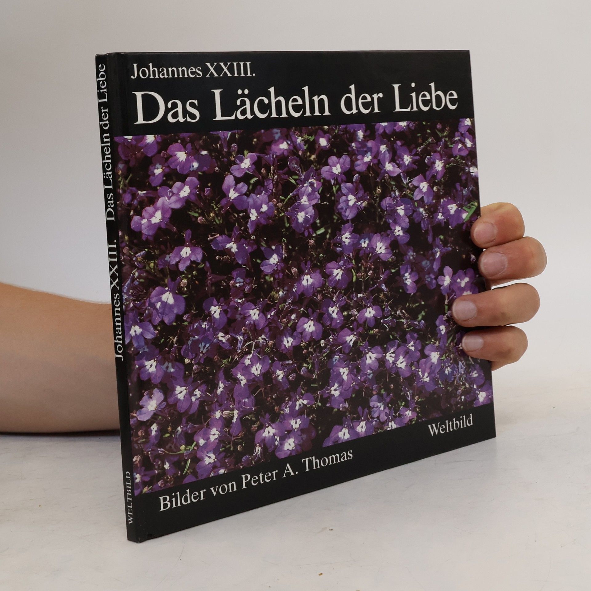 Und die Bibel hat doch recht