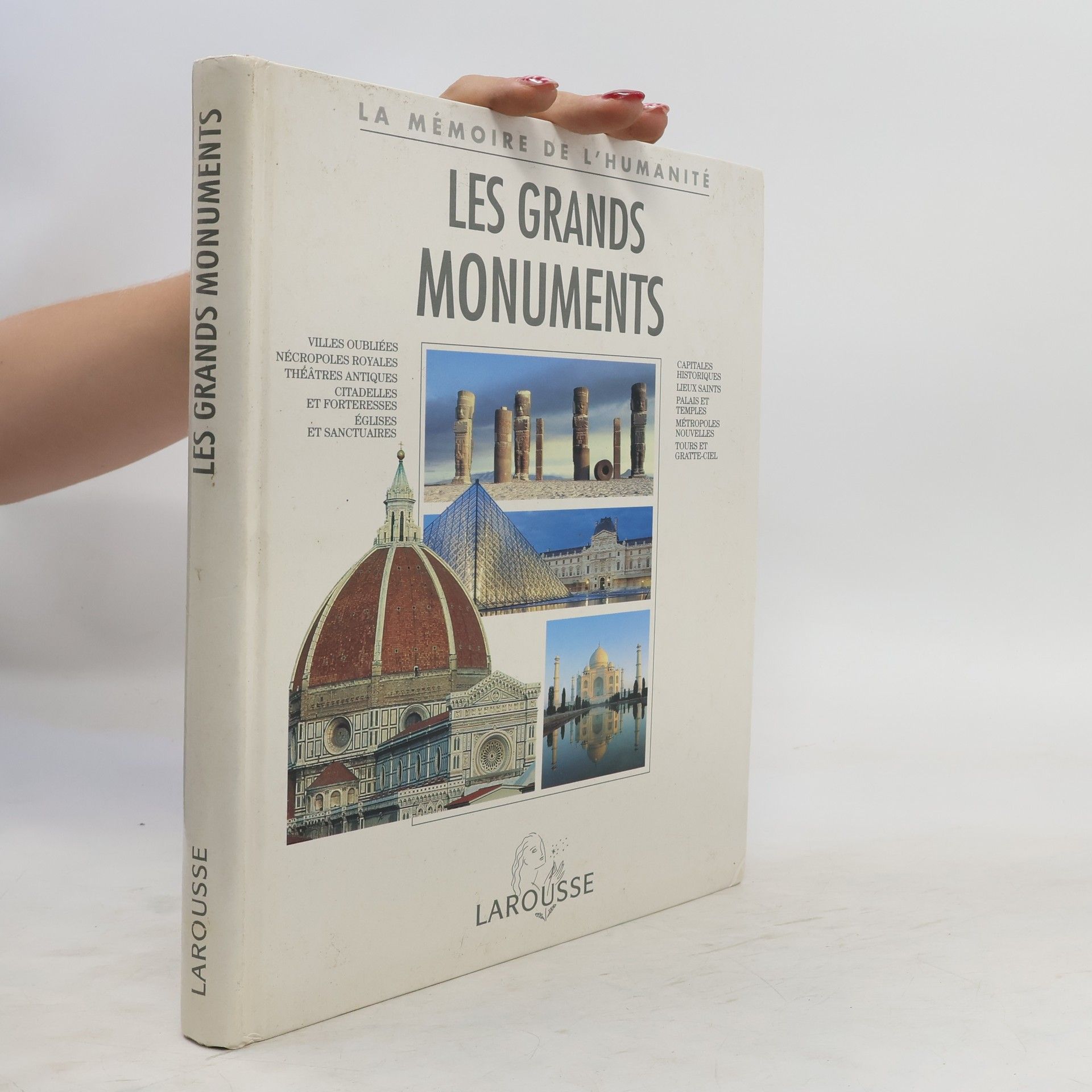 Nadeije Laneyrie-Dagen Les grands monuments