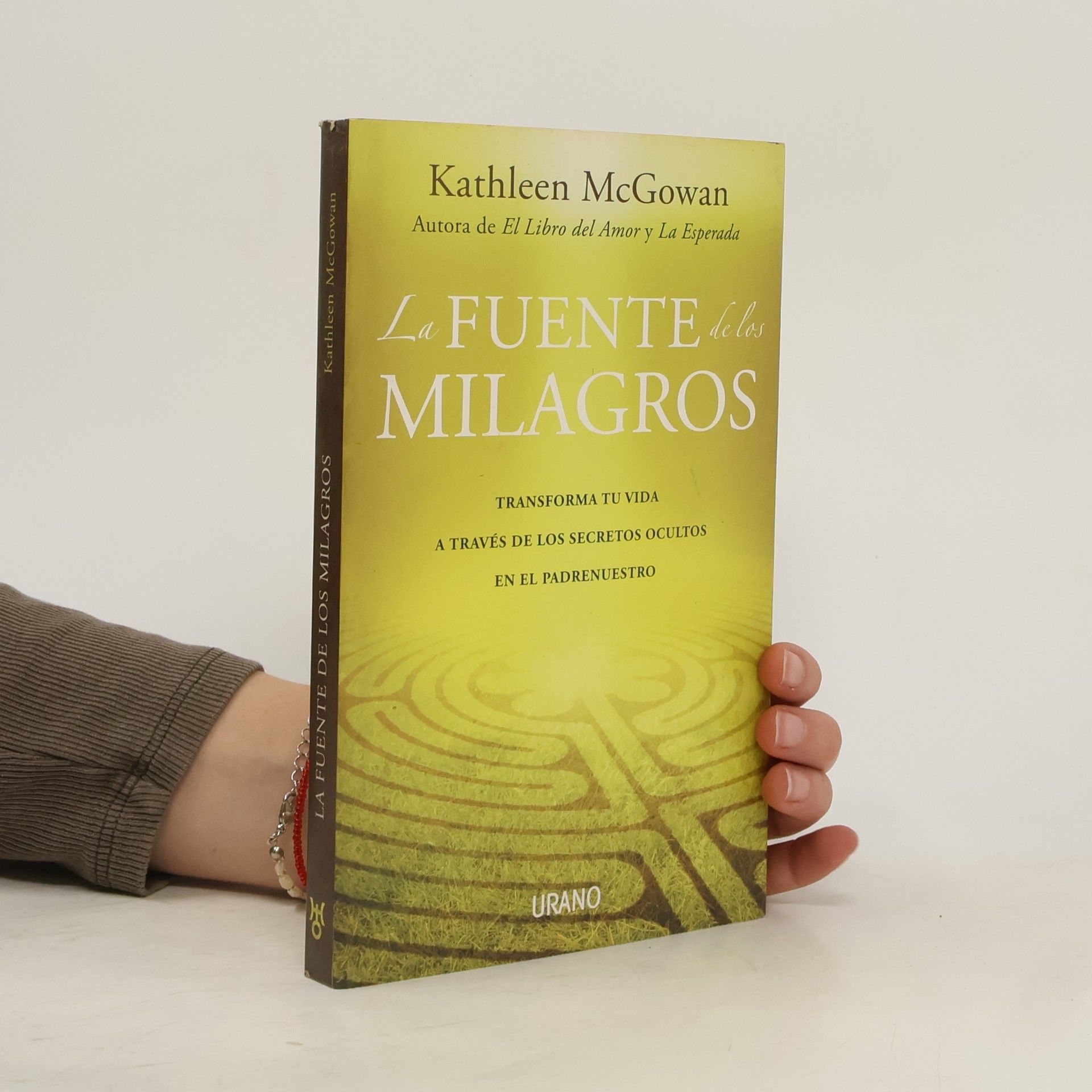 Kathleen McGowan La Fuente de los Milagros
