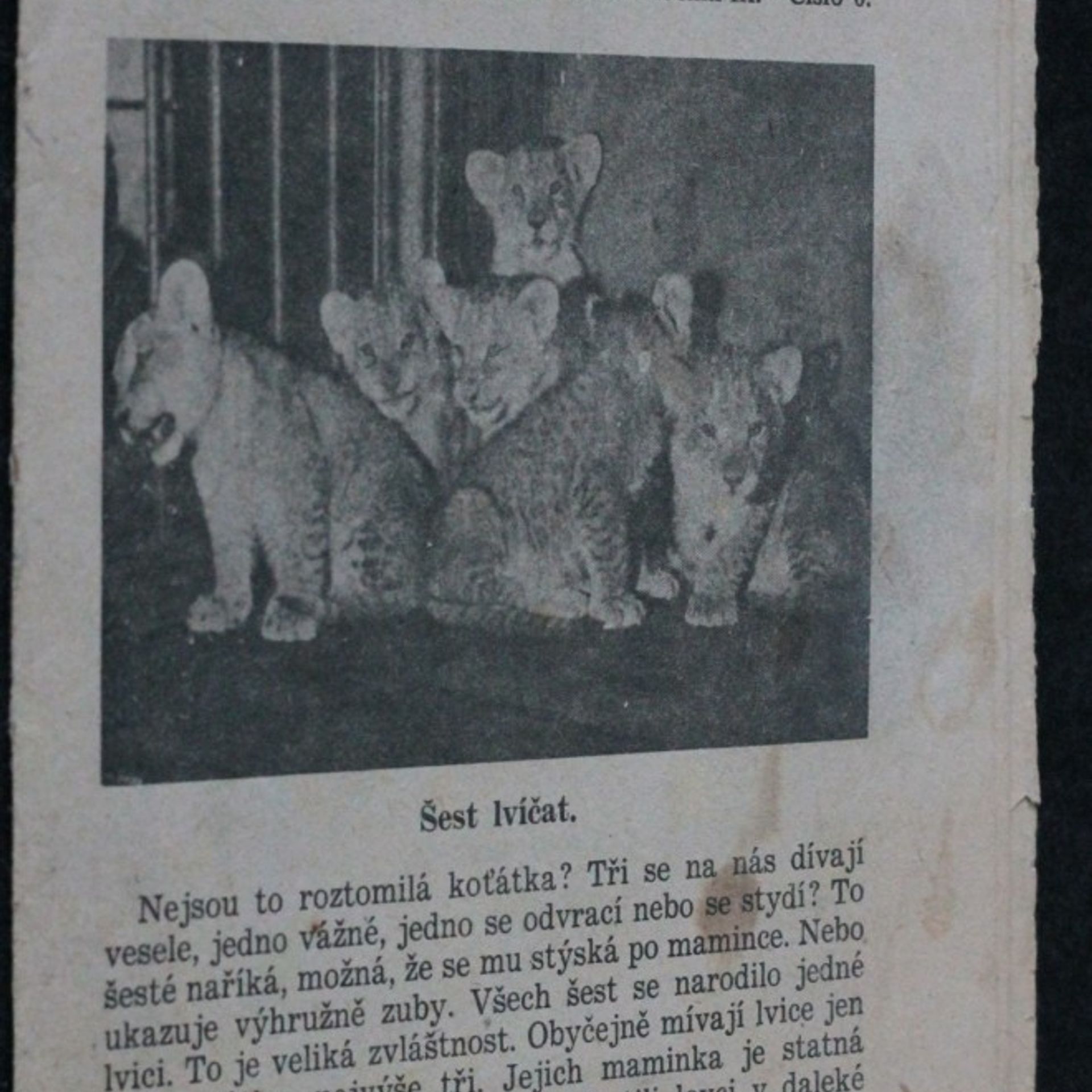 Kolektiv autorů Sedmihlásek