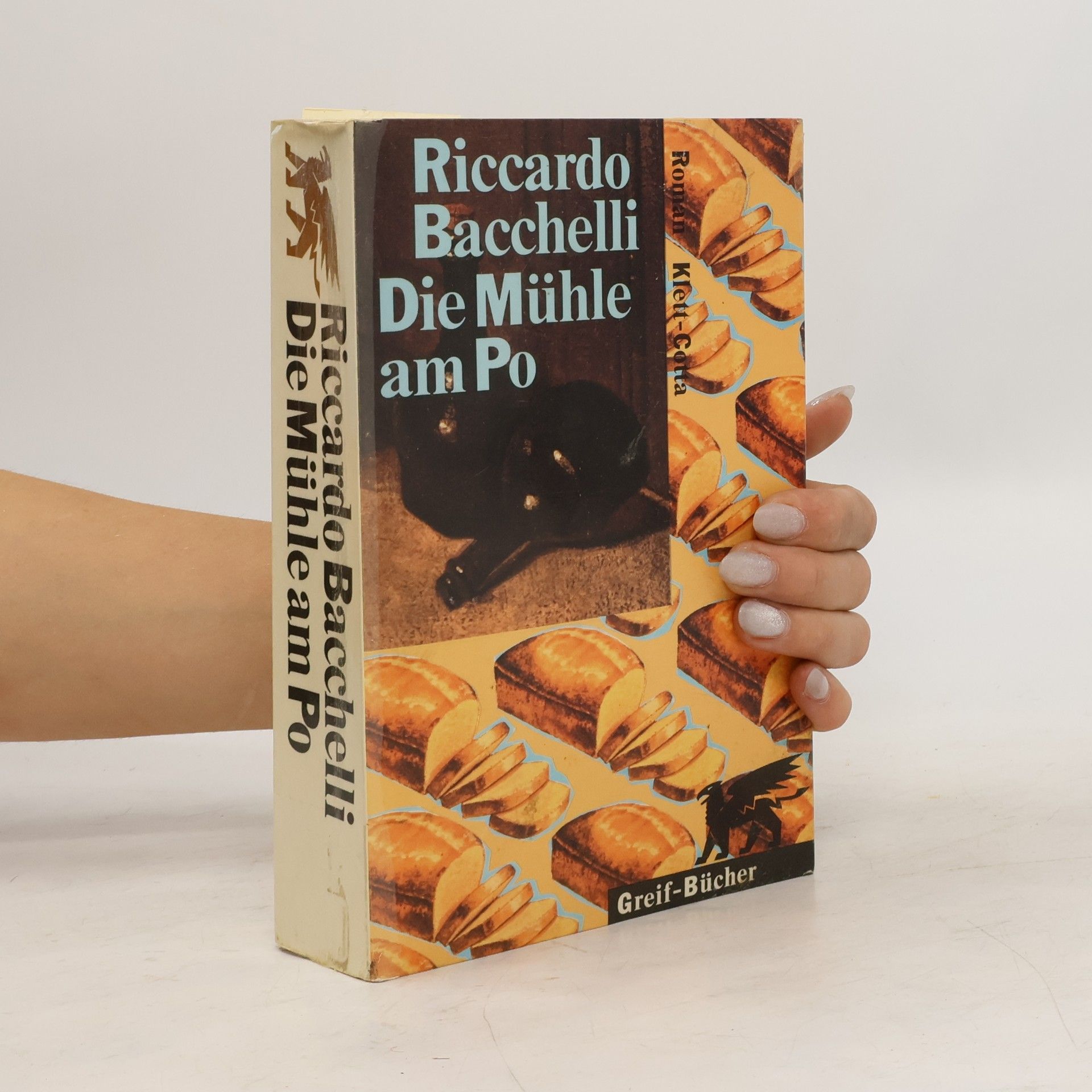 Riccardo Bacchelli Die Mühle am Po
