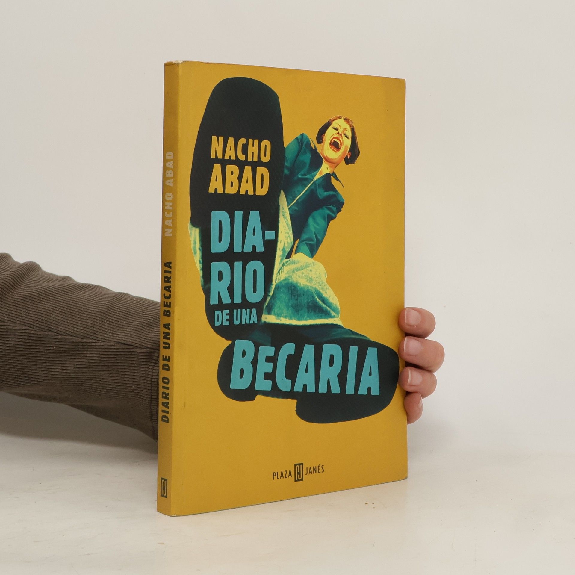 Ignacio Abad Diario de una becaria
