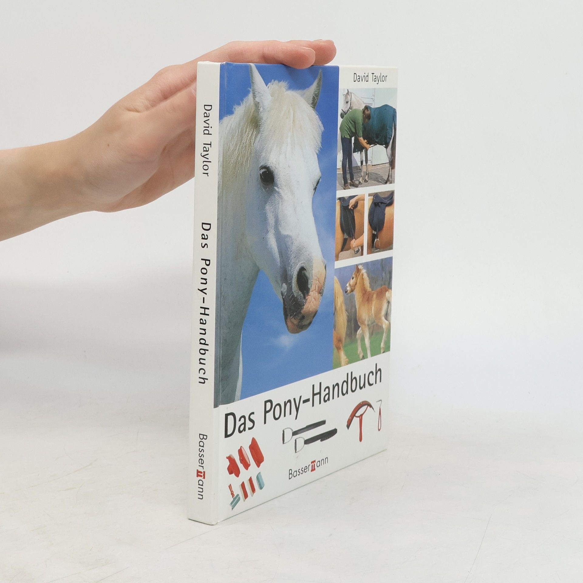 David Conrad Taylor Das Pony-Handbuch