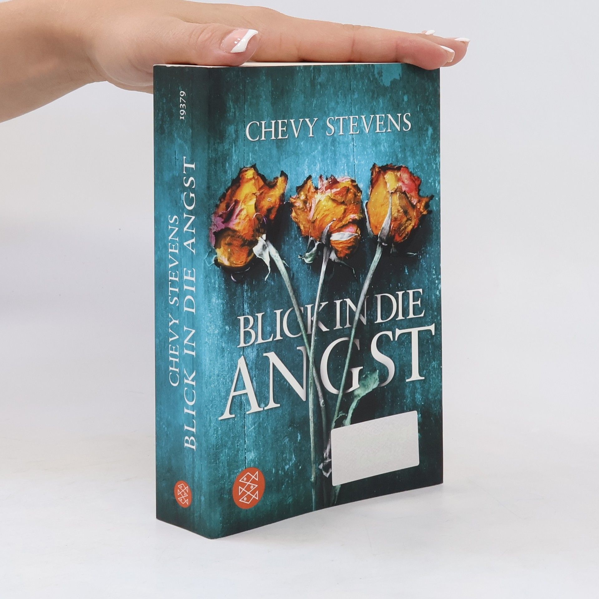 Chevy Stevens Blick in die Angst