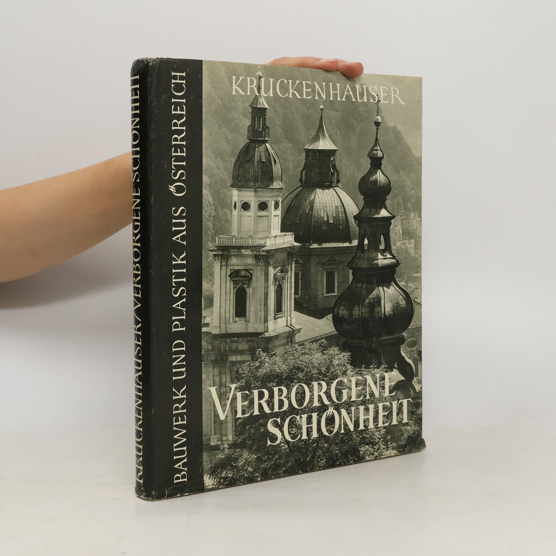 Stefan Kruckenhauser Verborgene Schönheit