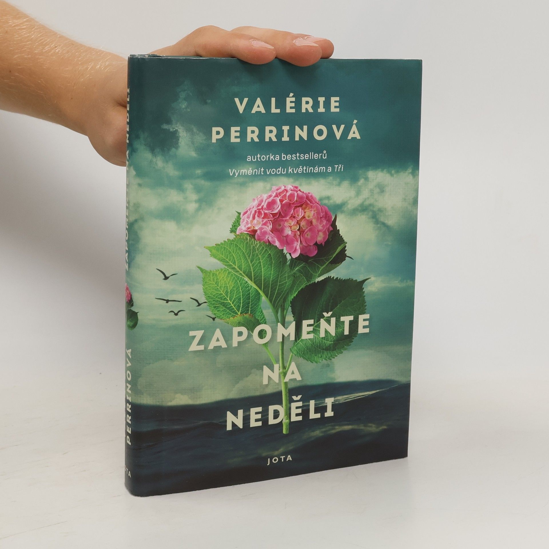 Jitka Řihánková Zapomeňte na neděli