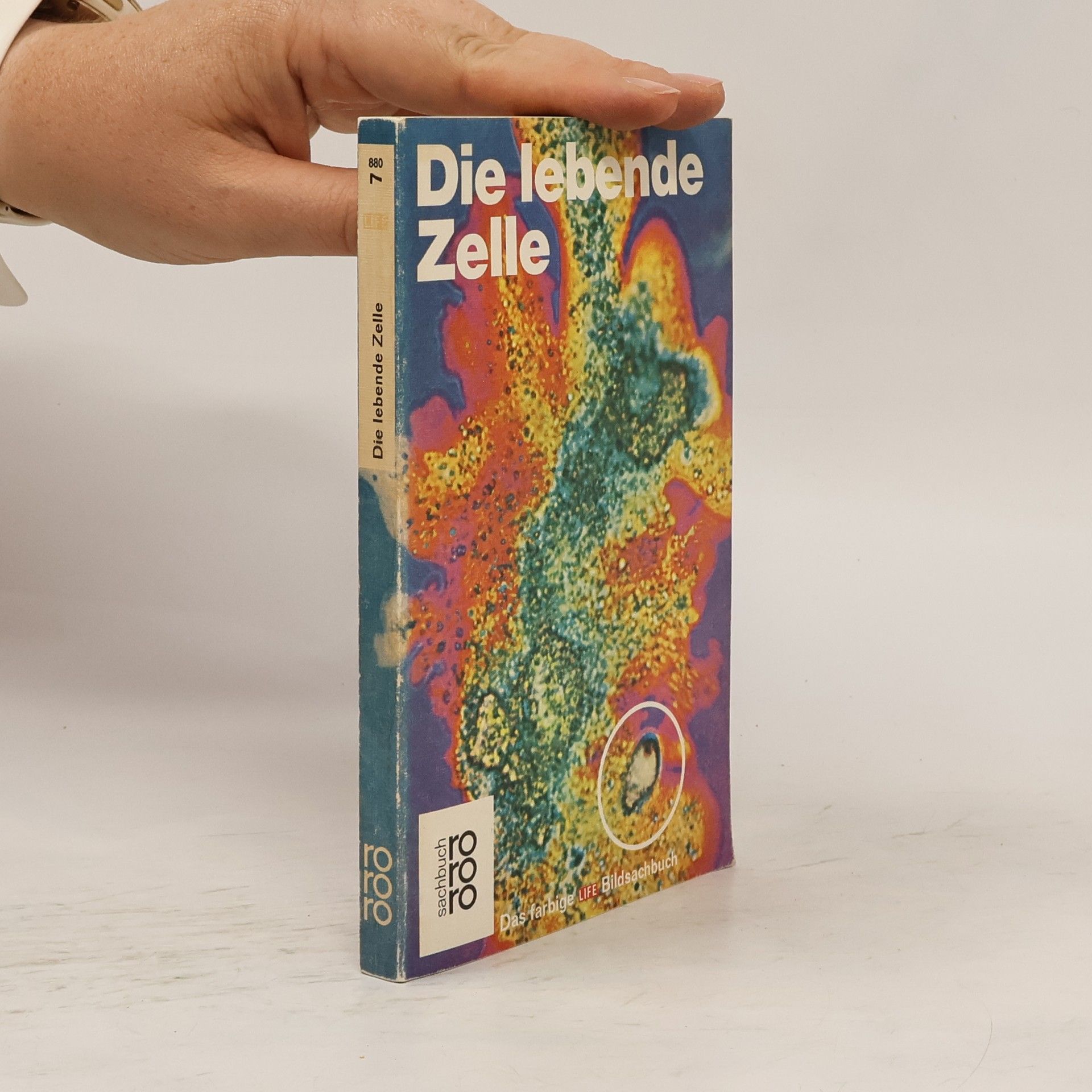 John Pfeffer Die lebende Zelle