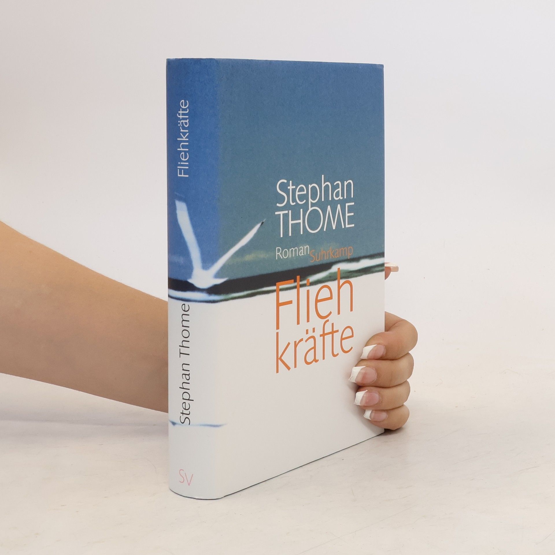 Stephan Thome Fliehkräfte