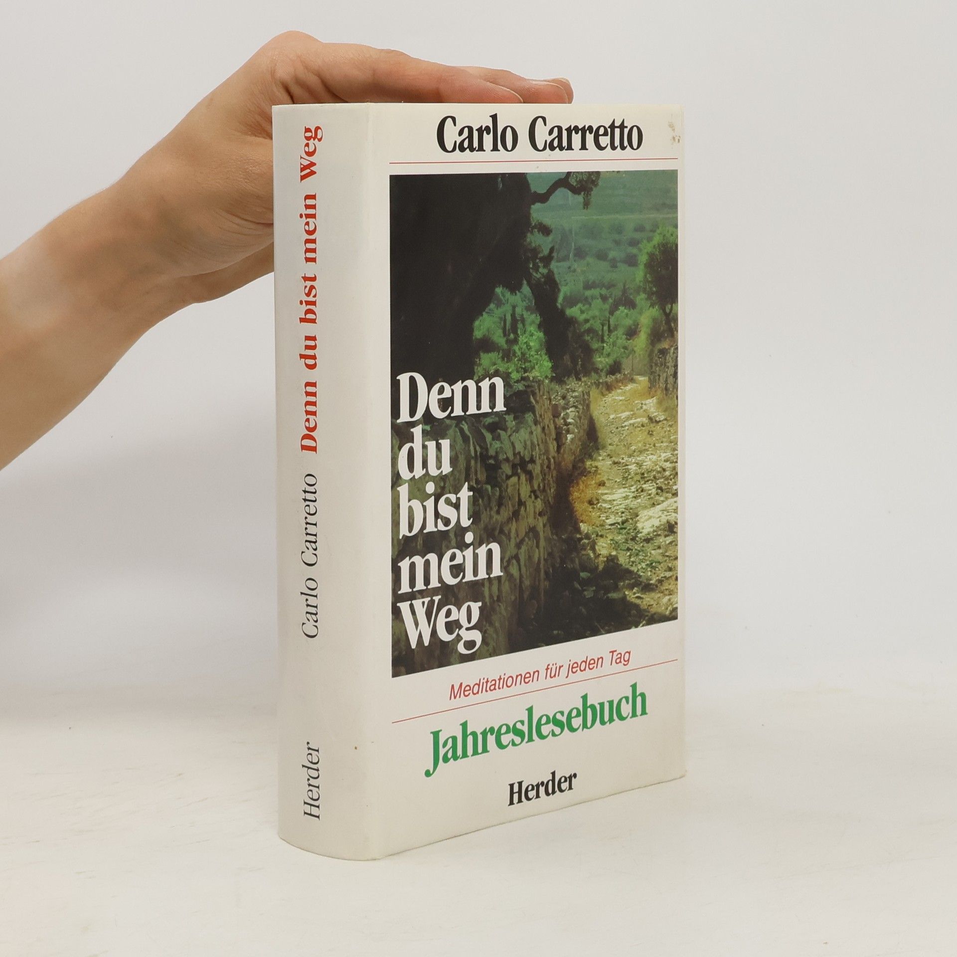 Carlo Carretto Denn du bist mein Weg