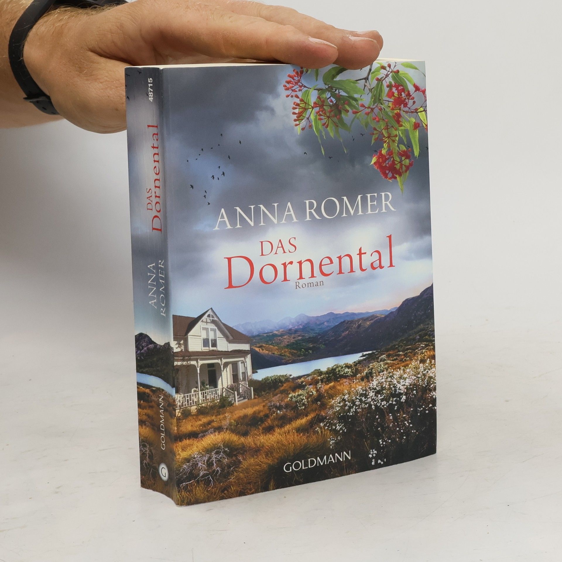 Roberto de Hollanda Das Dornental : roman