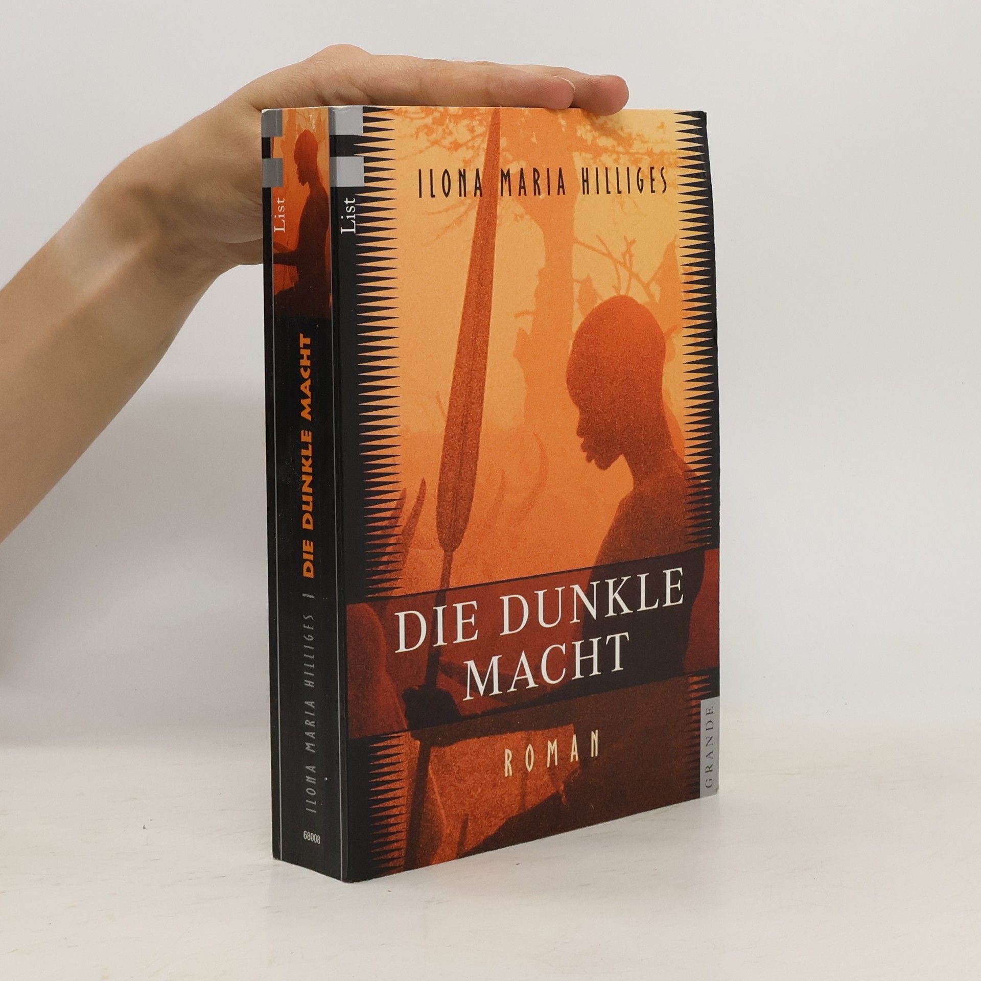 Ilona Maria Hilliges Die dunkle Macht