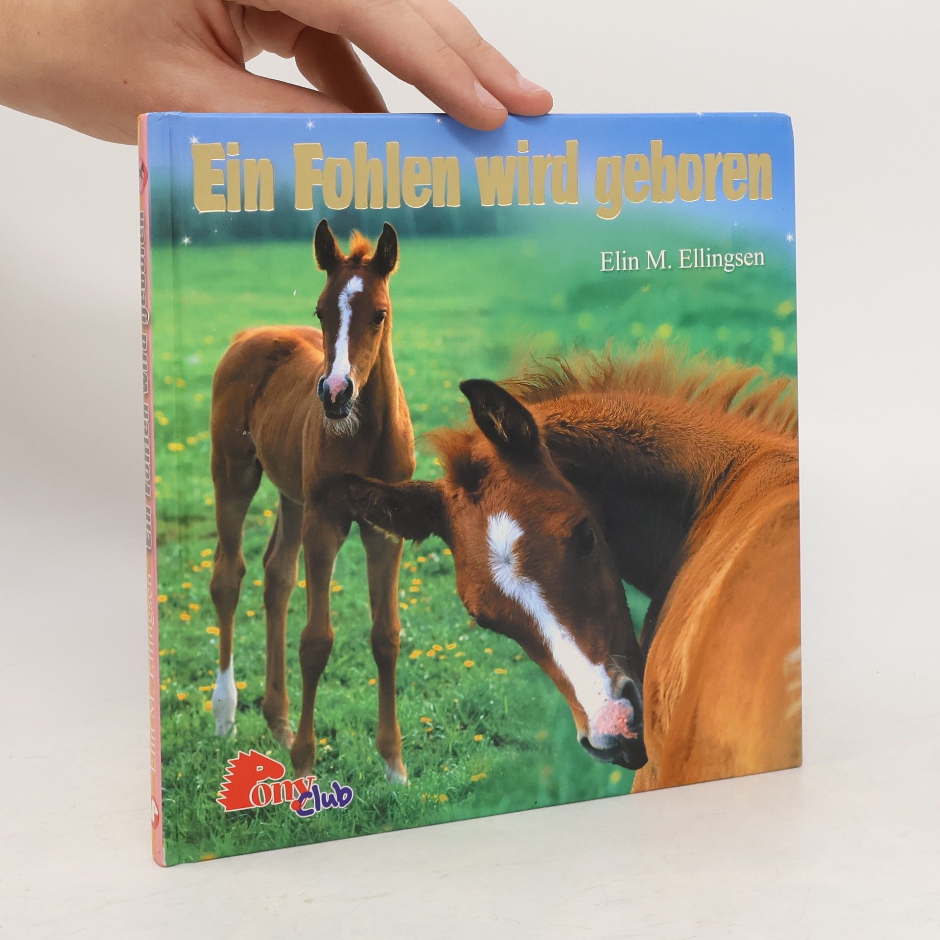Elin M. Ellingsen Ein Fohlen wird geboren