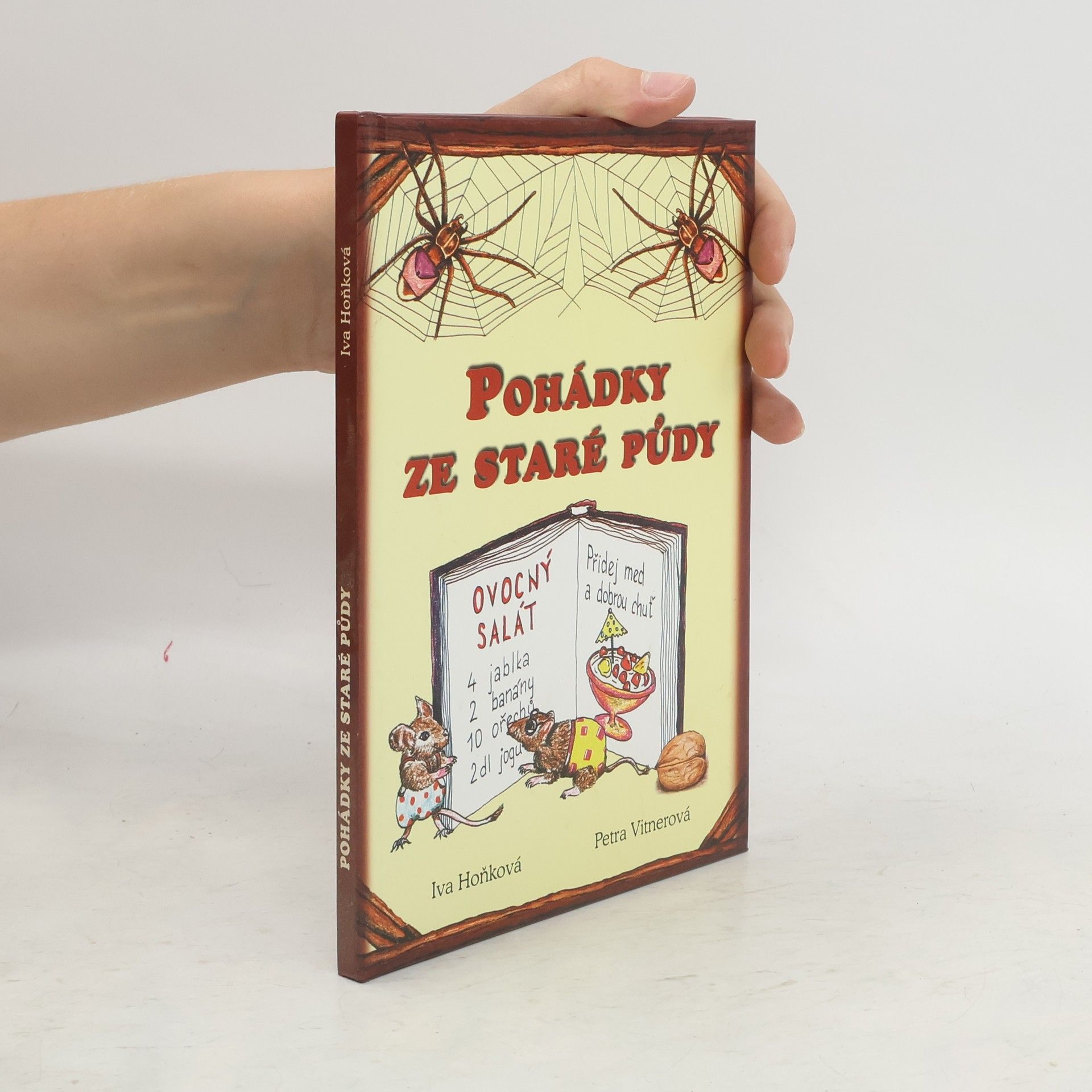 Vladimíra Hoňková Pohádky ze staré půdy