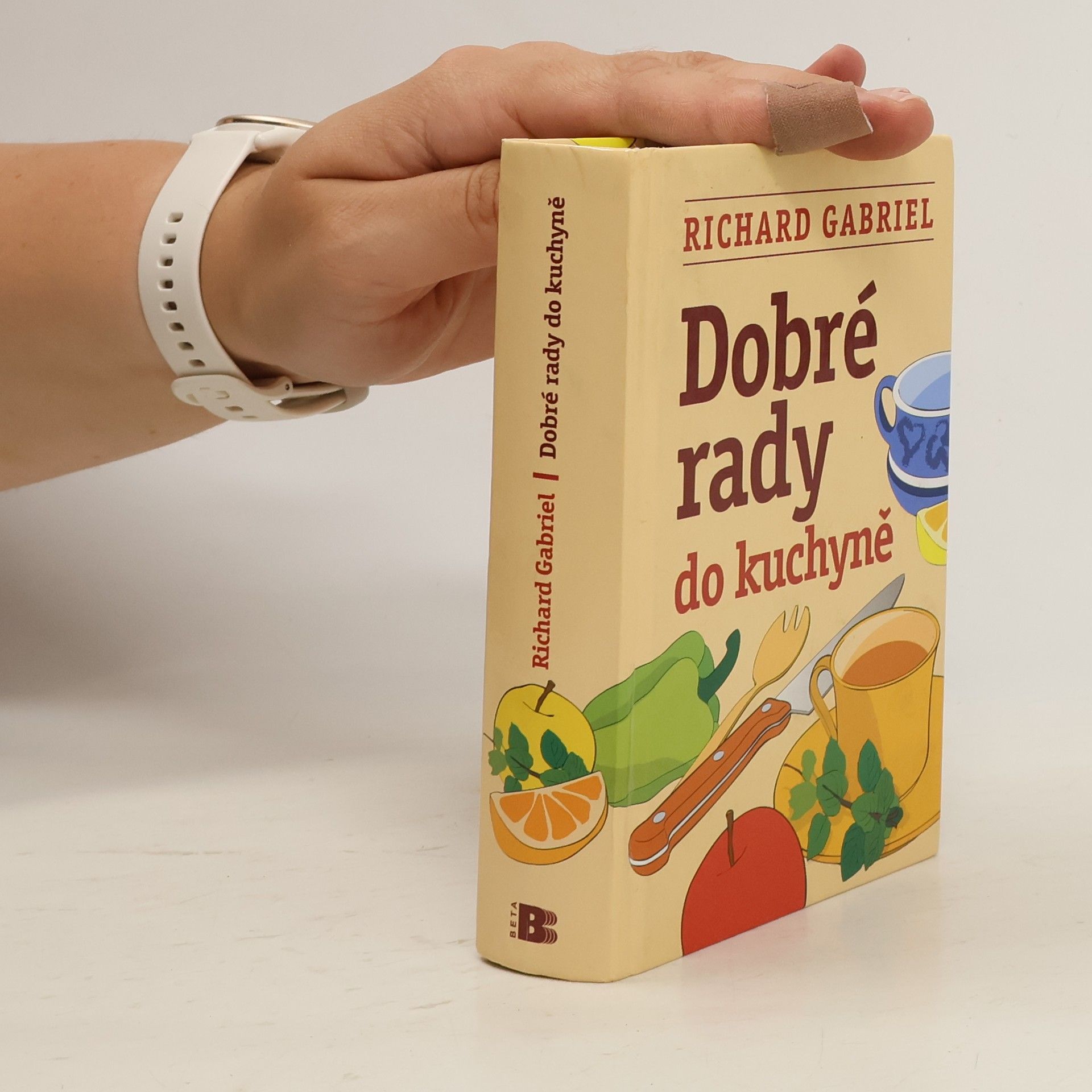 Richard Gabriel Dobré rady do kuchyně