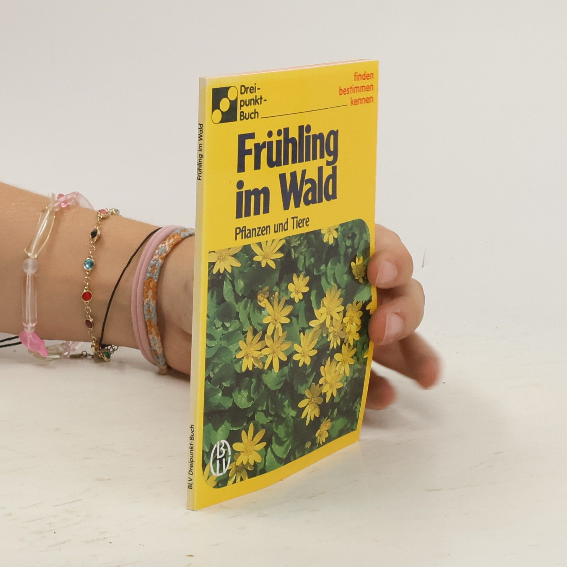 Dorothee Eisenreich Frühling im Wald