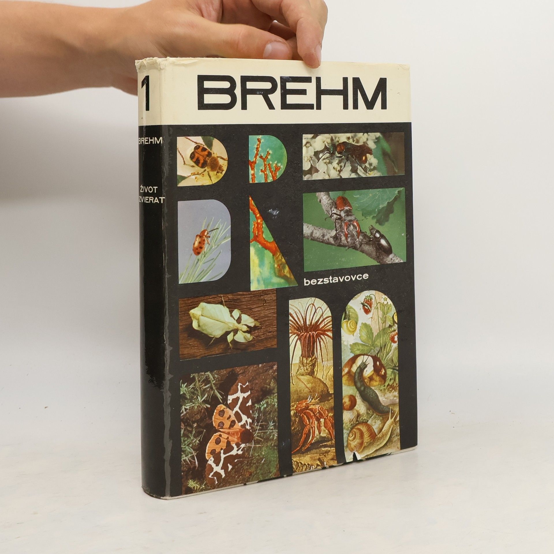 Walter Rammer Brehm Život zvierat 1. Bezstavovce