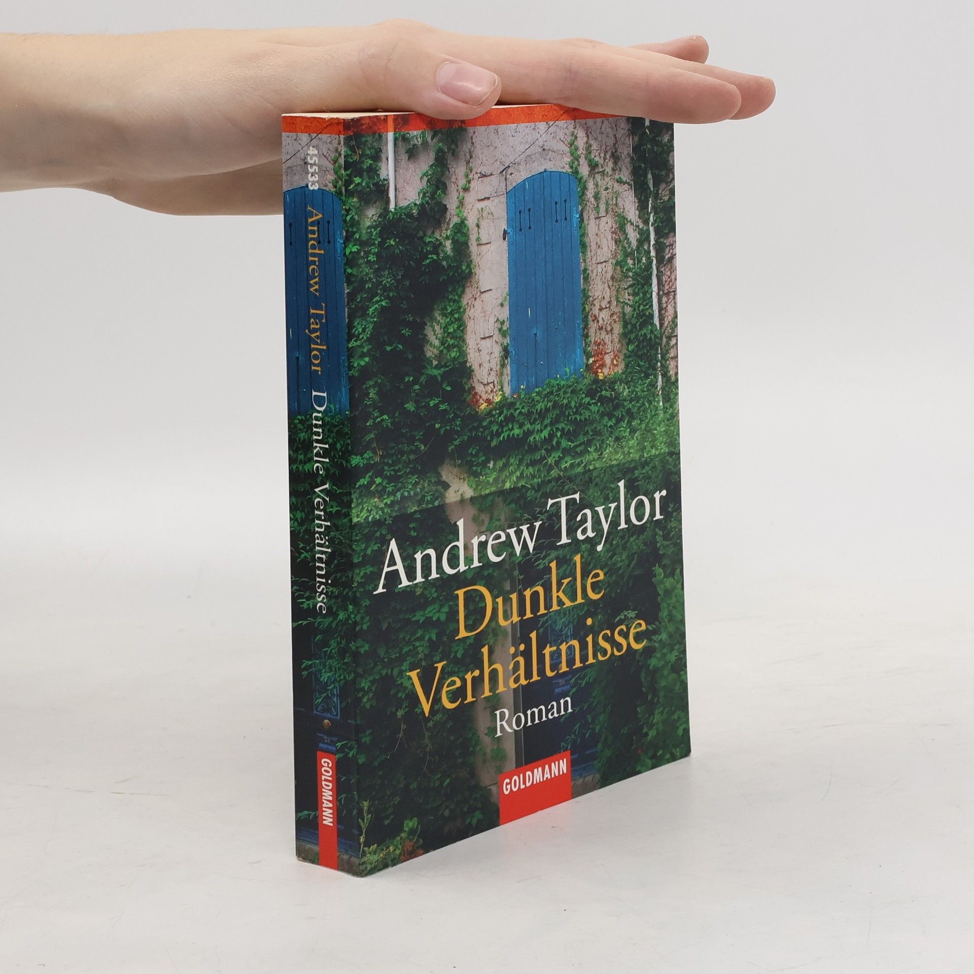 John Robert Taylor Dunkle Verhältnisse. Roman