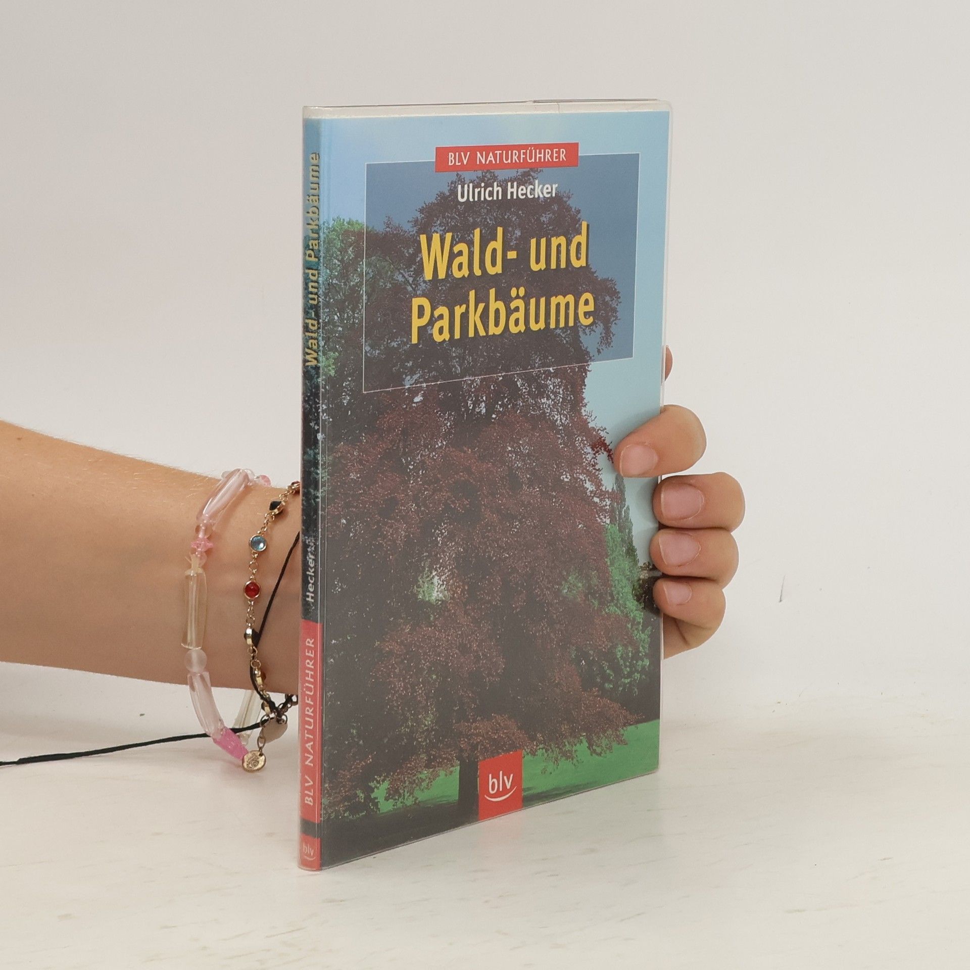 Hans-Ulrich Hecker Wald- und Parkbäume