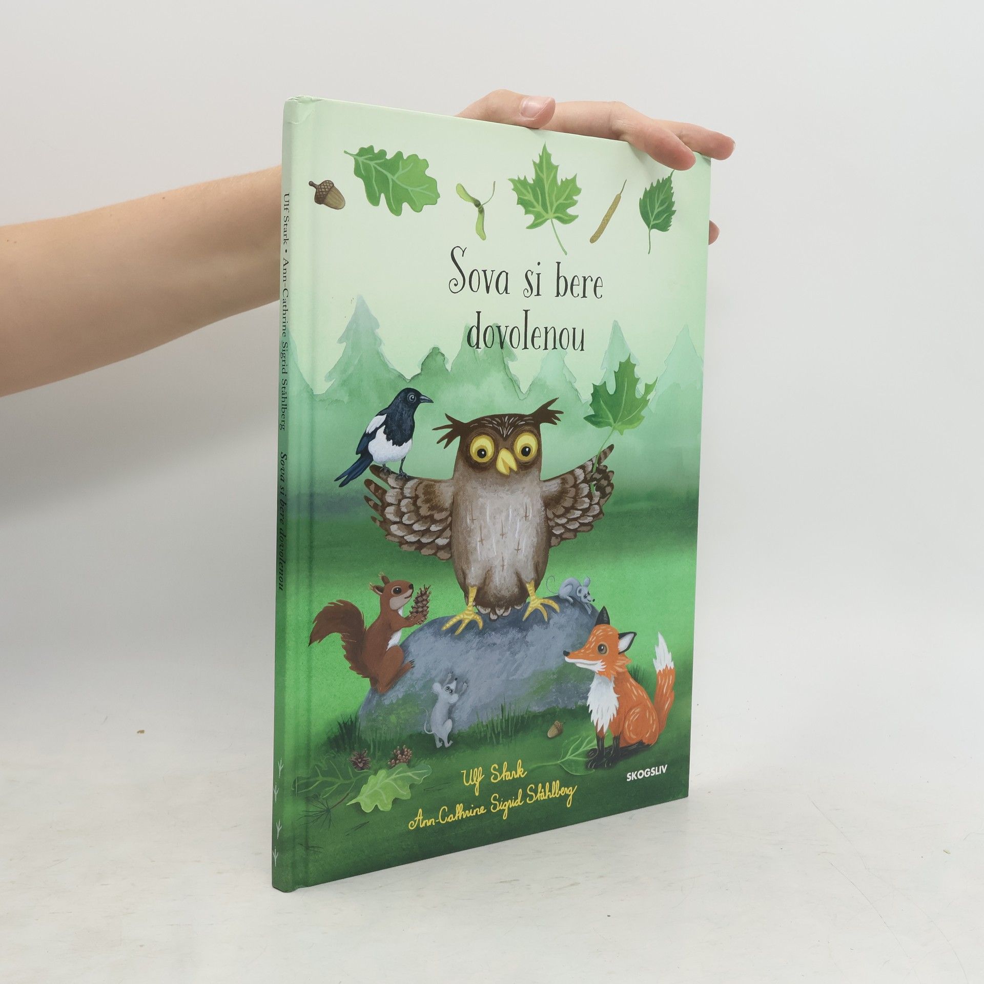 Ulf Stark The Owl Goes on Holiday