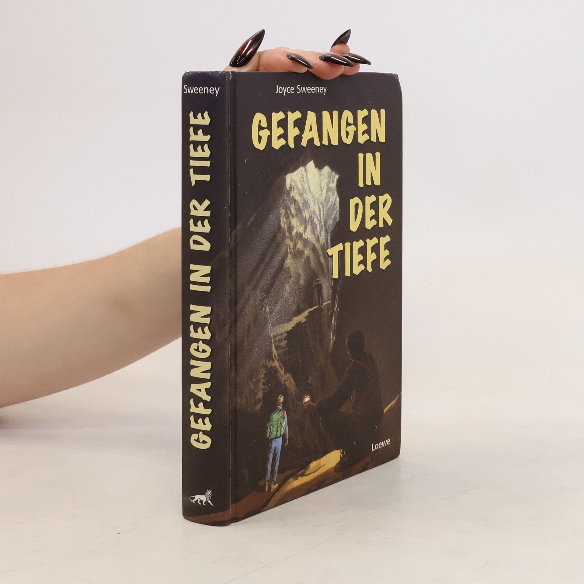 Joyce Sweeney Gefangen in der Tiefe