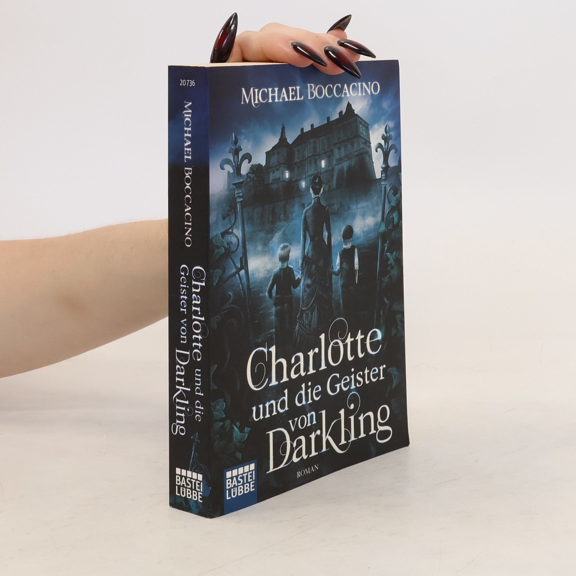 Michael Boccacino Charlotte und die Geister von Darkling