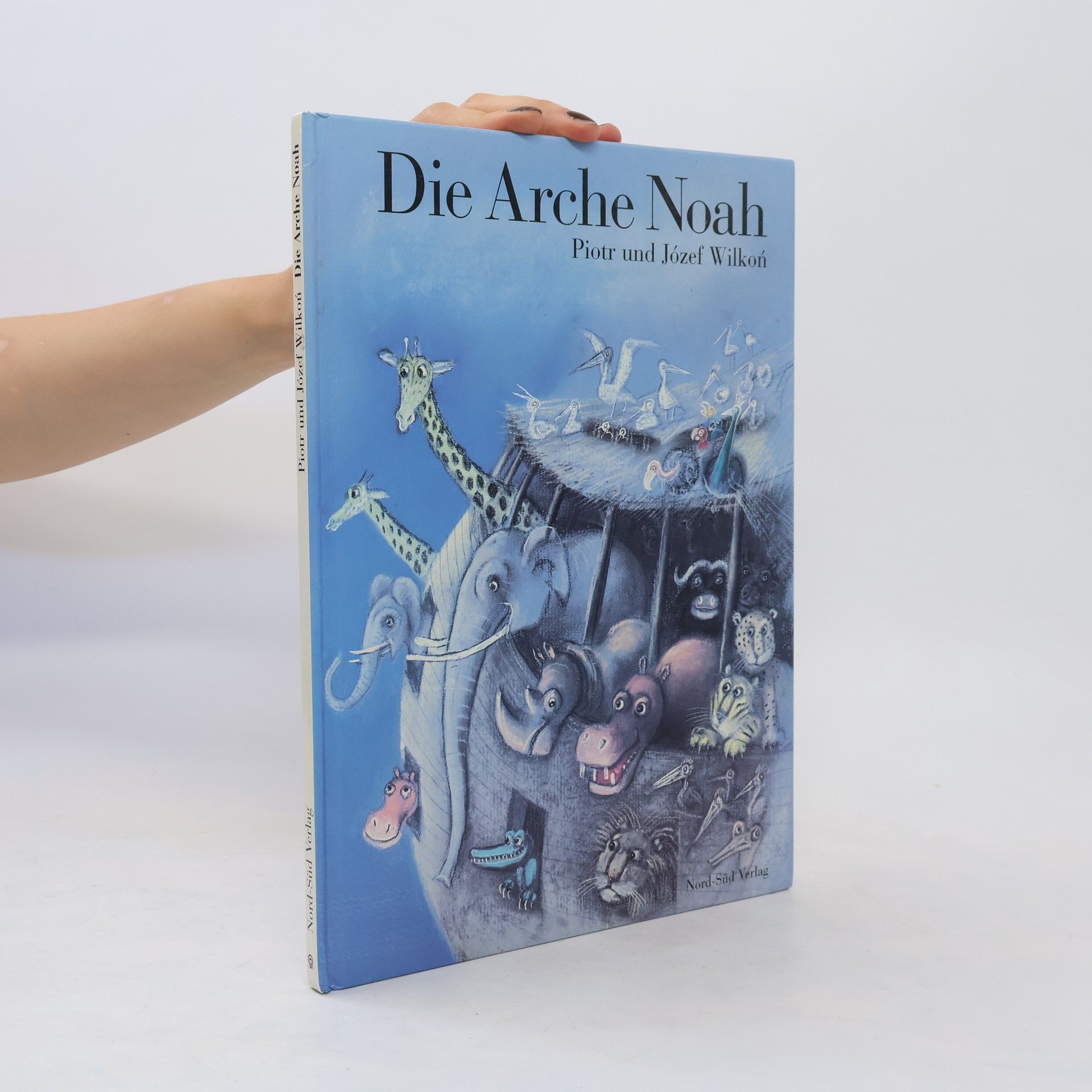 Piotr Wilkon Die Arche Noah
