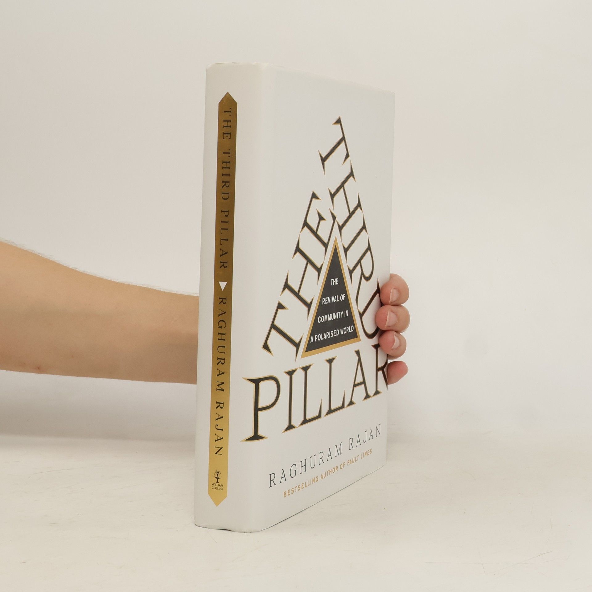 Raghuram G. Rajan The Third Pillar