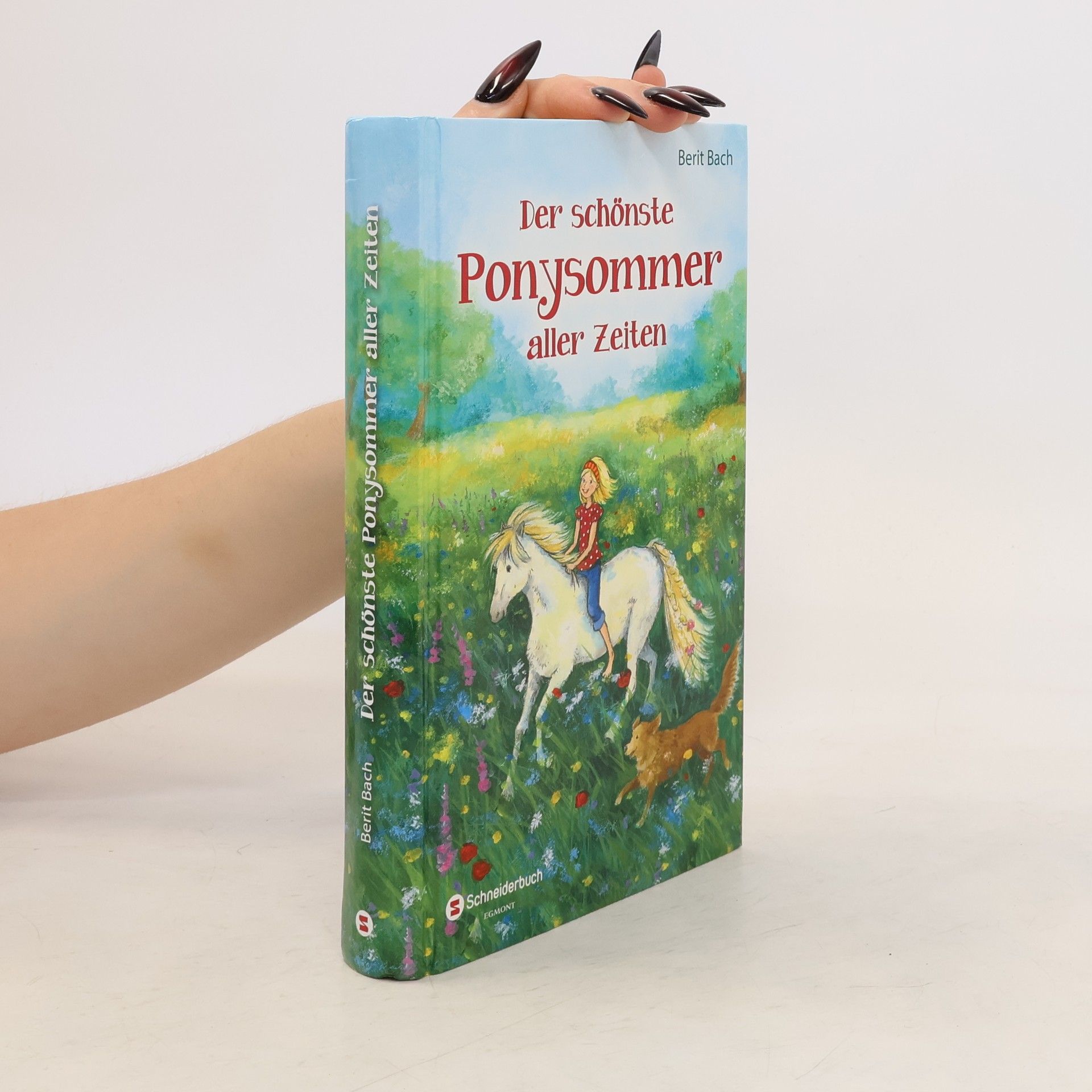Berit Bach Der schönste Ponysommer aller Zeiten