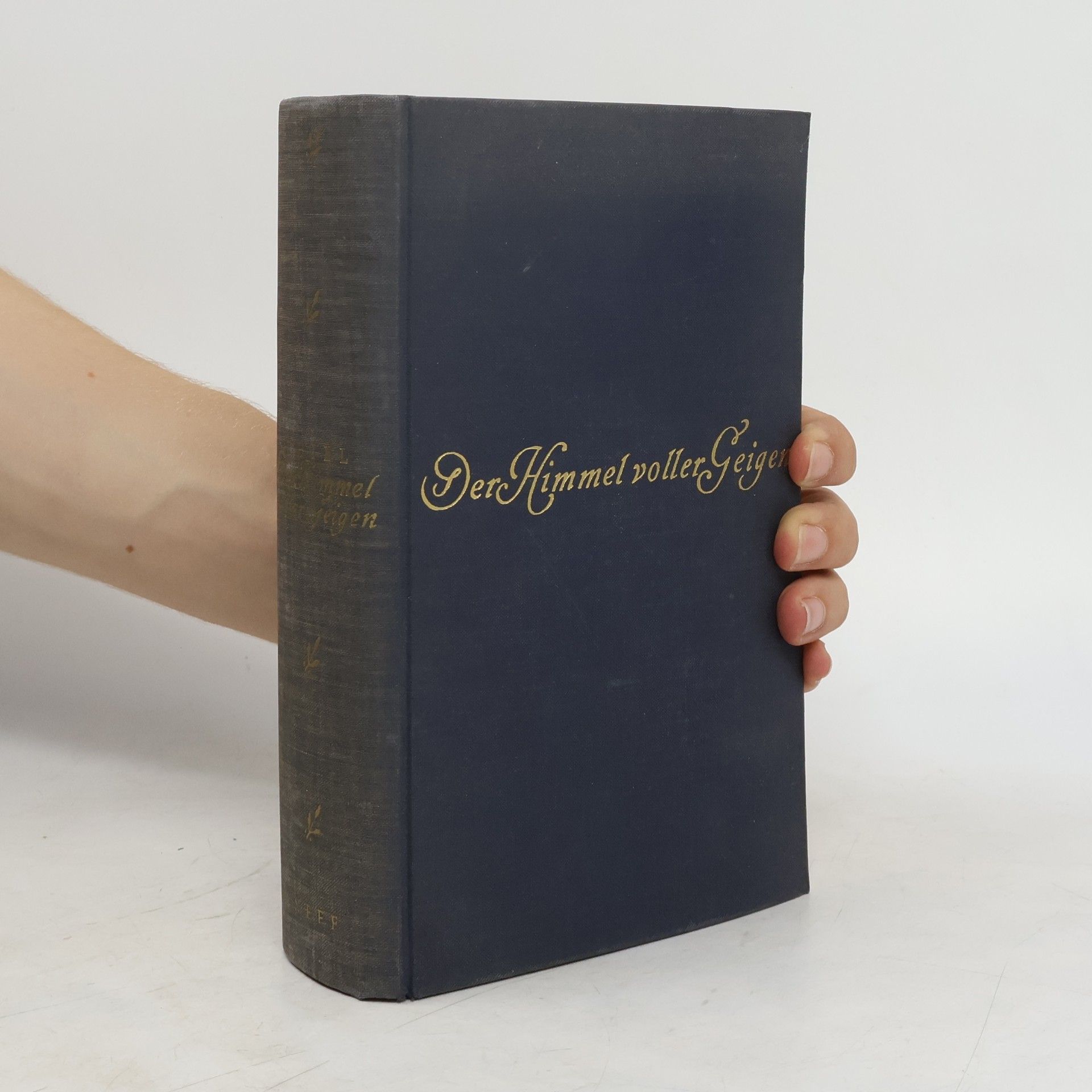 Rudolf Thiel Der Himmel voller Geigen