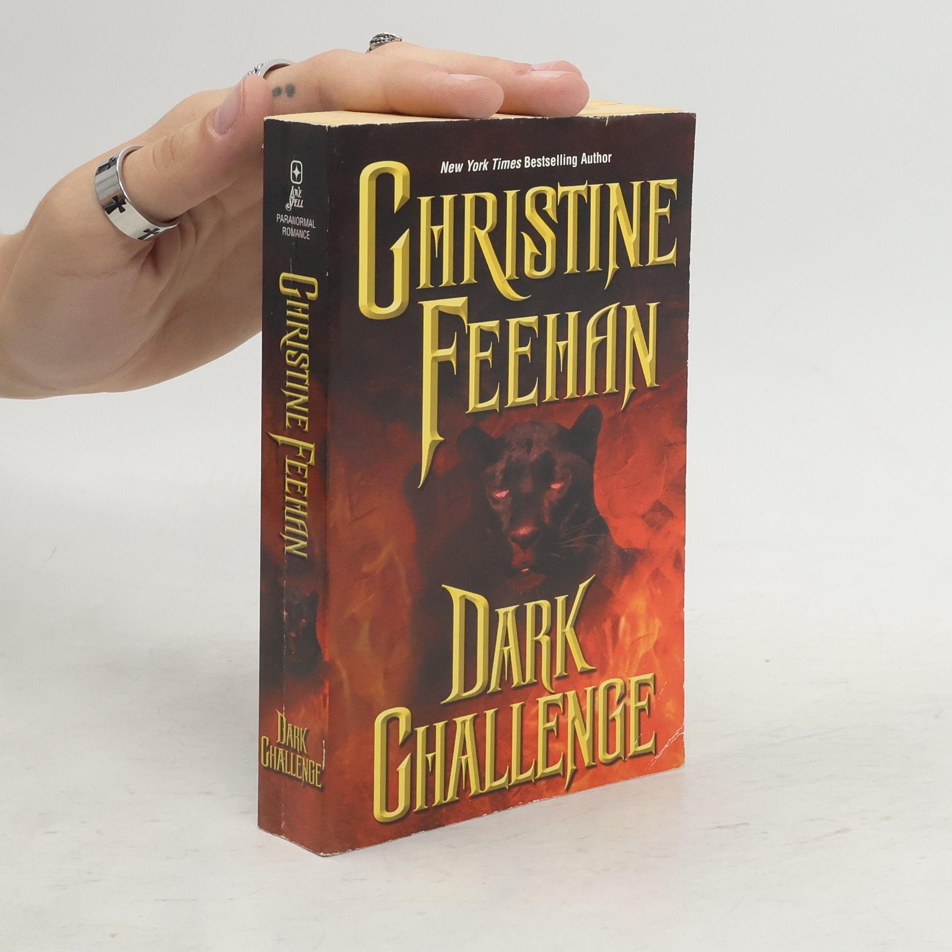 Christine Feehan Dark Challenge