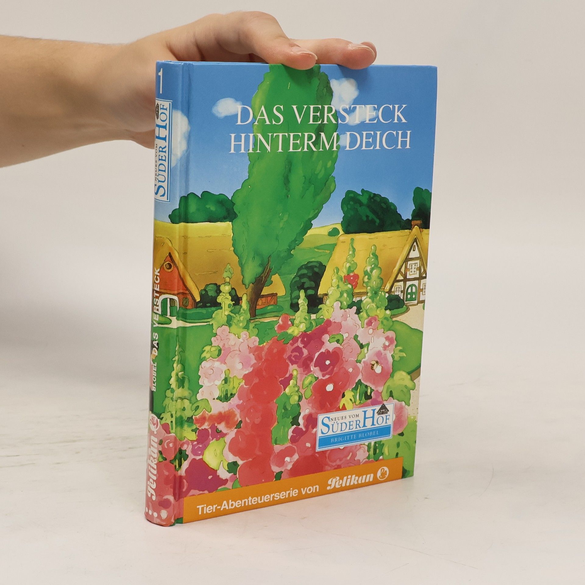 Collectif d'auteurs Das Versteck Hinterm Deich