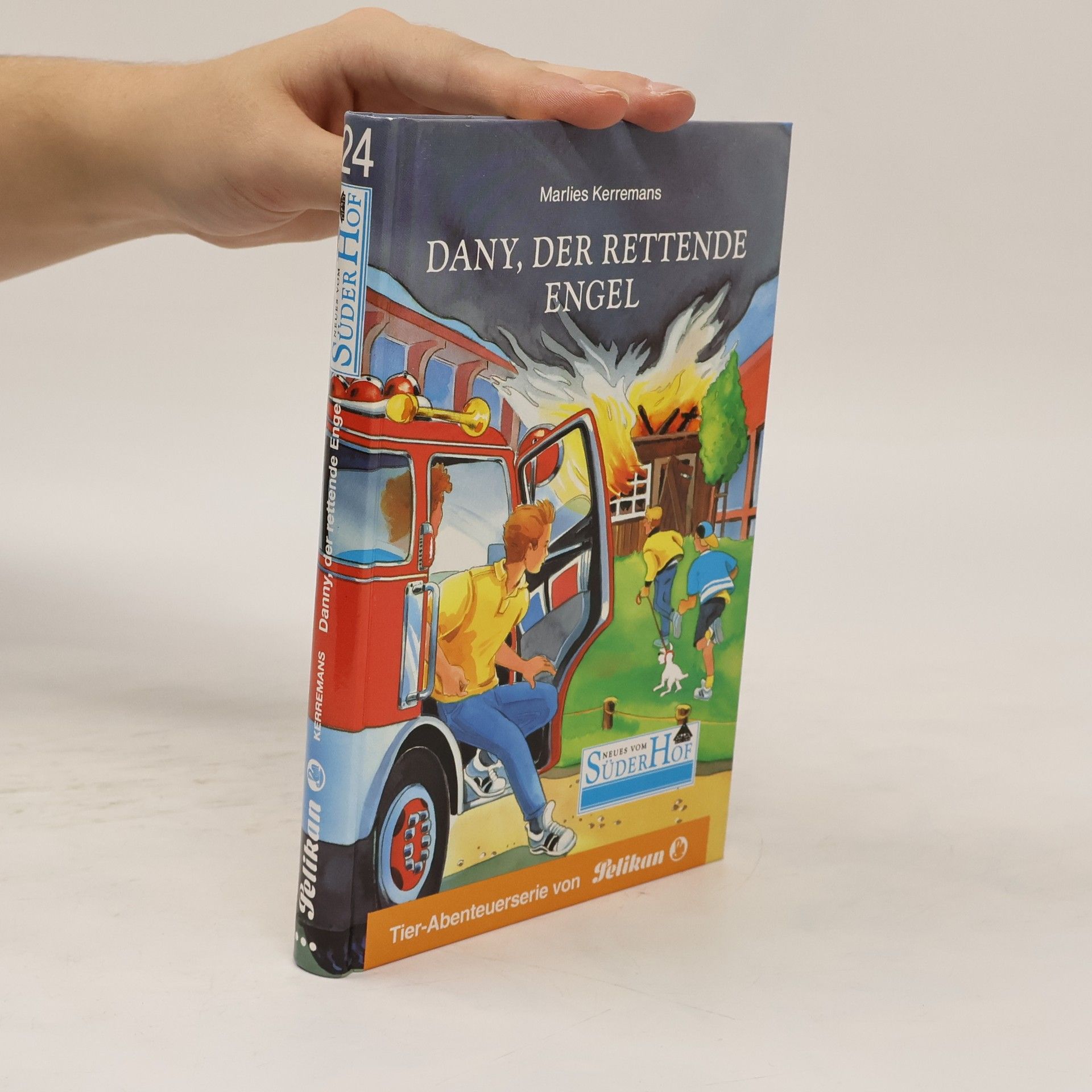Marlies Kerremans Dany, der rettende Engel