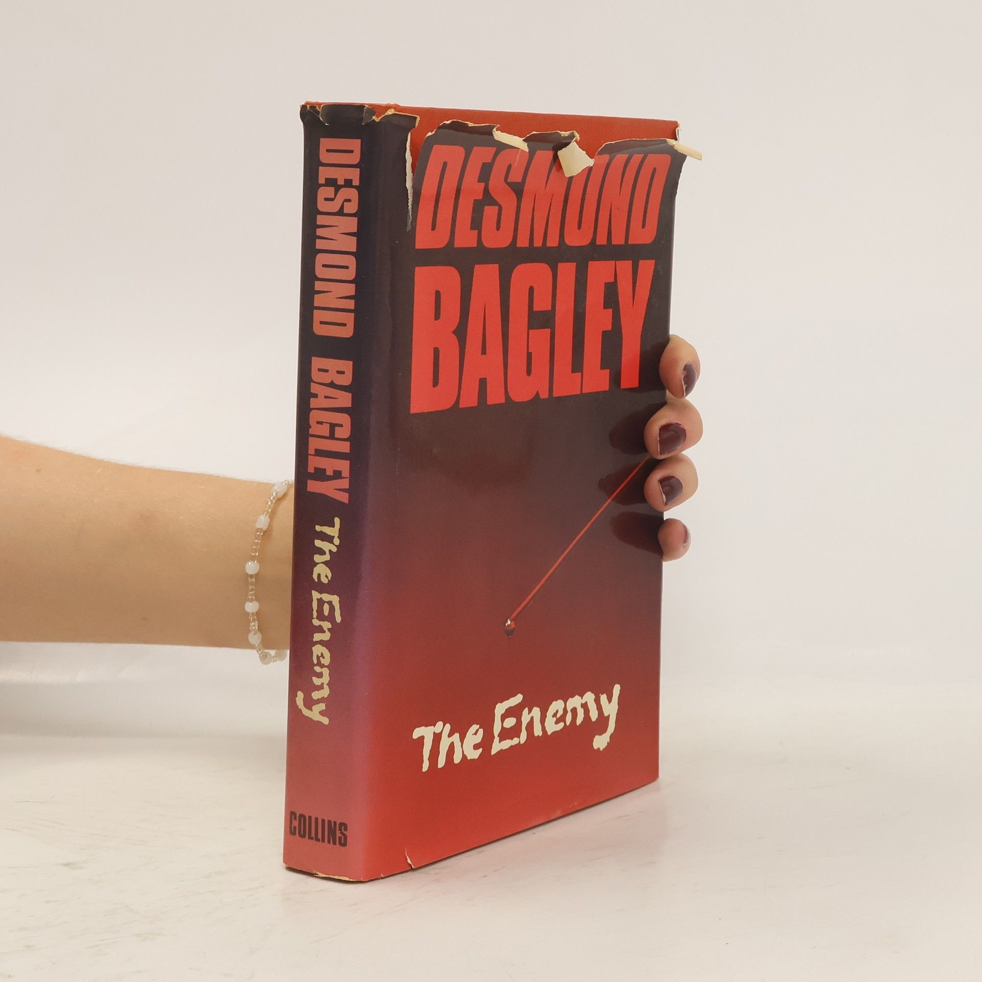 Desmond Bagley The Enemy