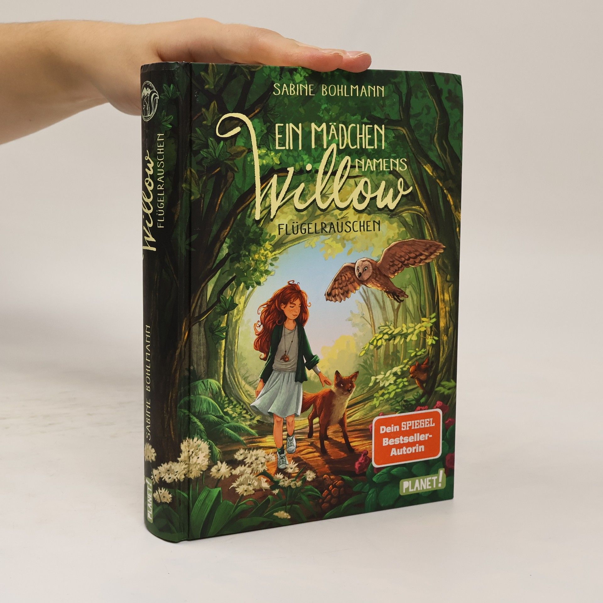 Sabine Bohlmann Ein Mädchen namens Willow - Flügelrauschen