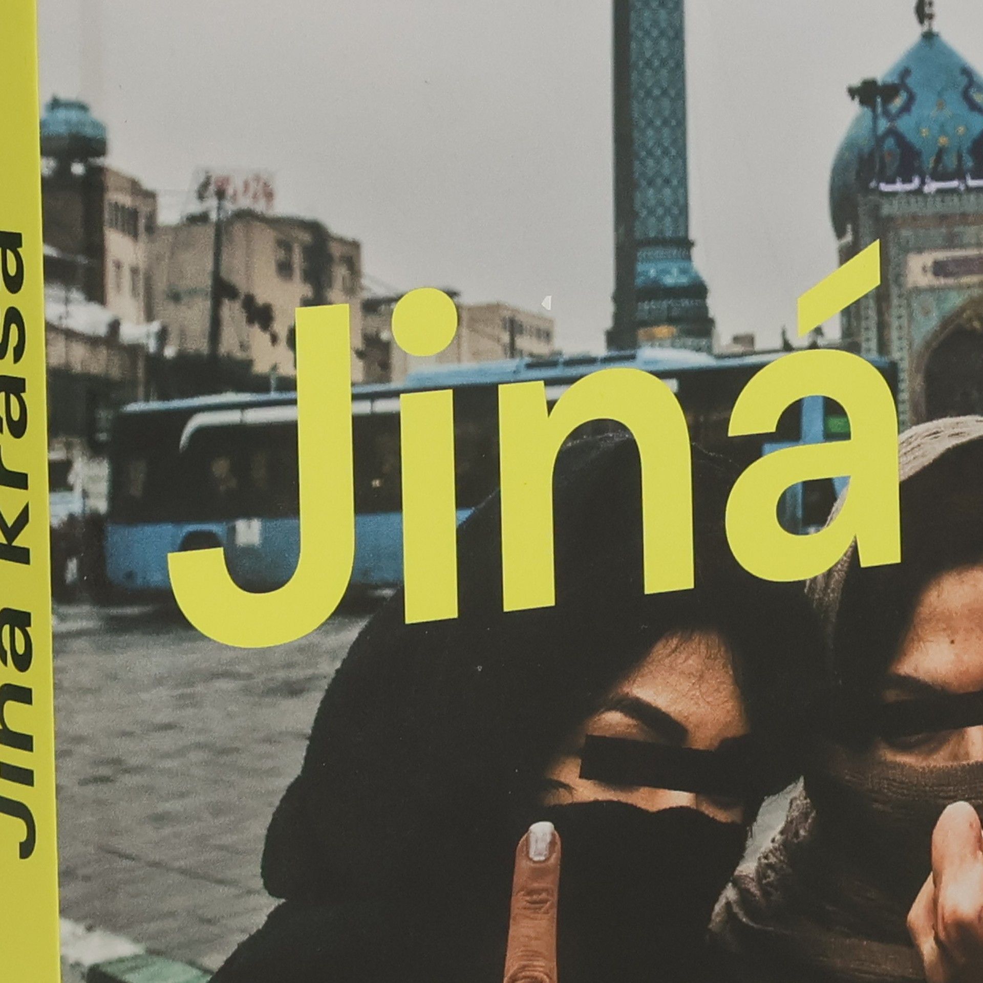 David Těšínský Jiná krása : nejen kontroverzní fotografie a příběhy