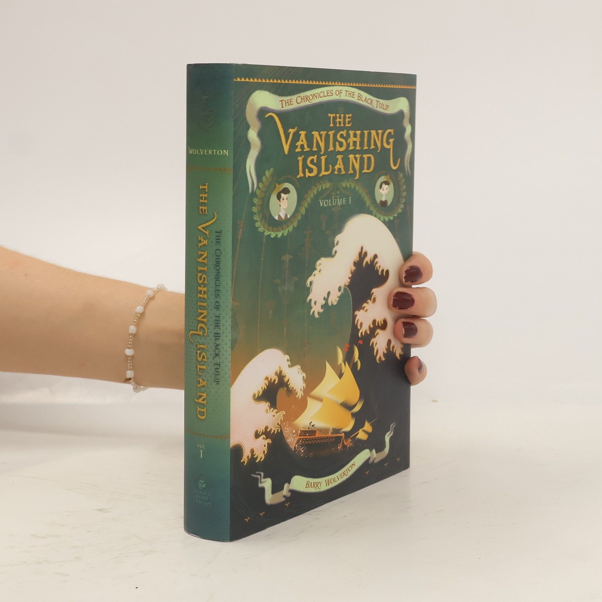 Dave Stevenson The Chronicles of the Black Tulip - 1: The Vanishing Island