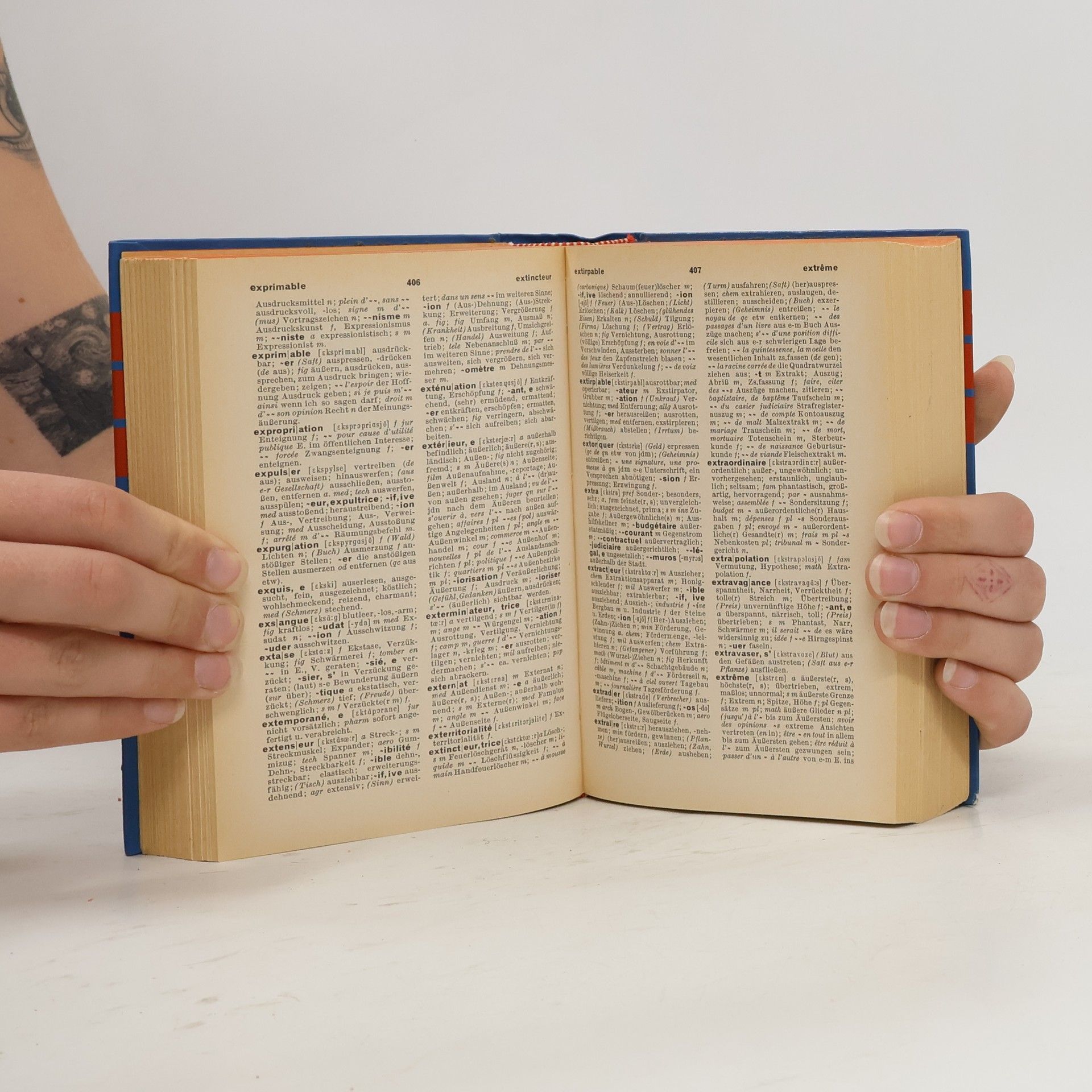 Heinrich Mattutat Woerterbuch der Franzoesischen und Deutschen Sprache