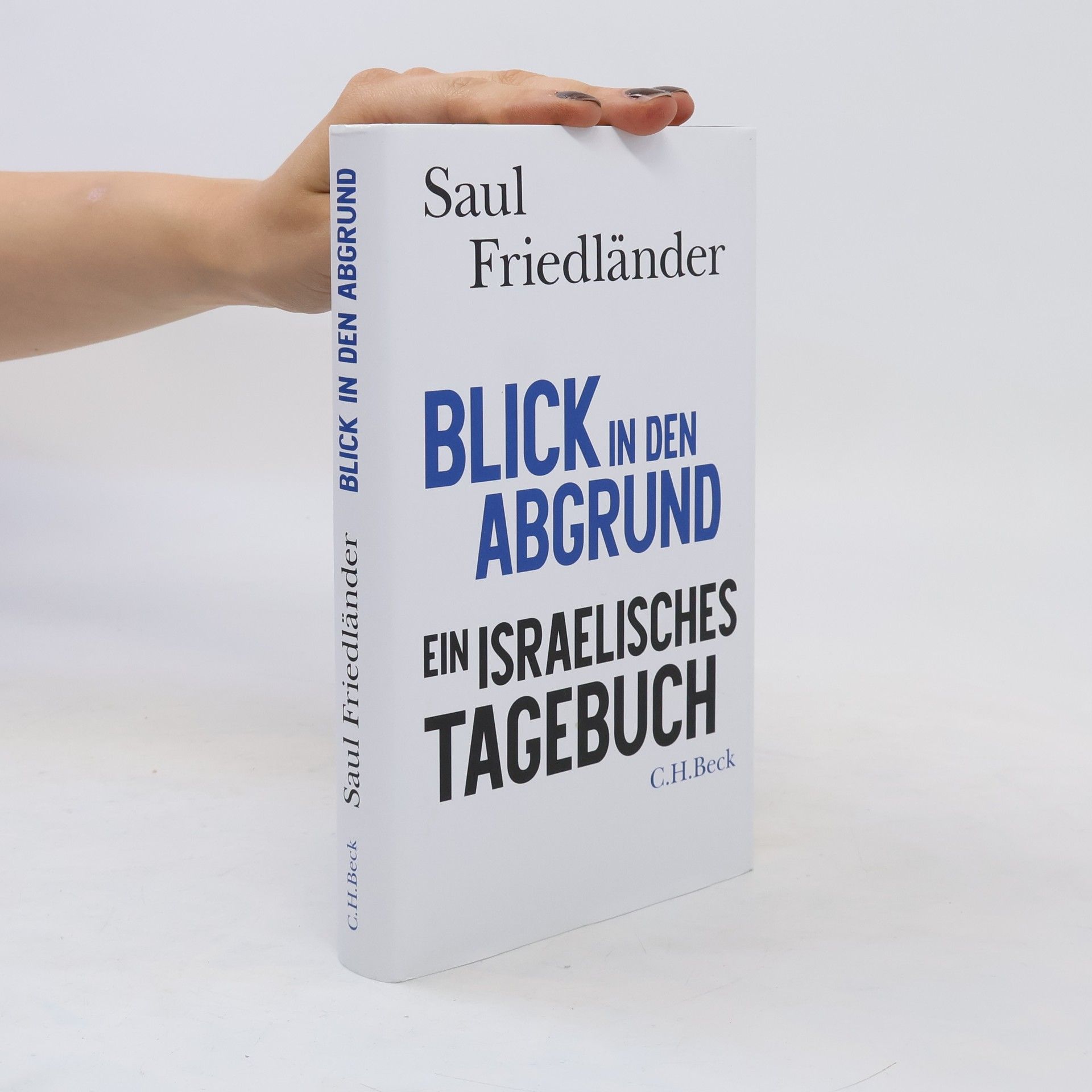 Saul Friedländer Blick in den Abgrund