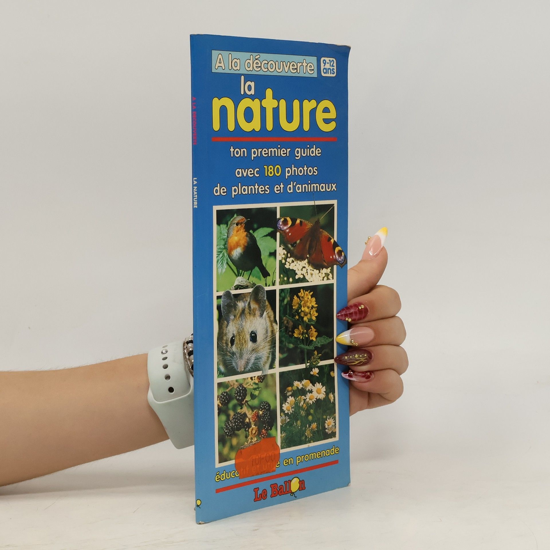 Thierry Montagne La nature