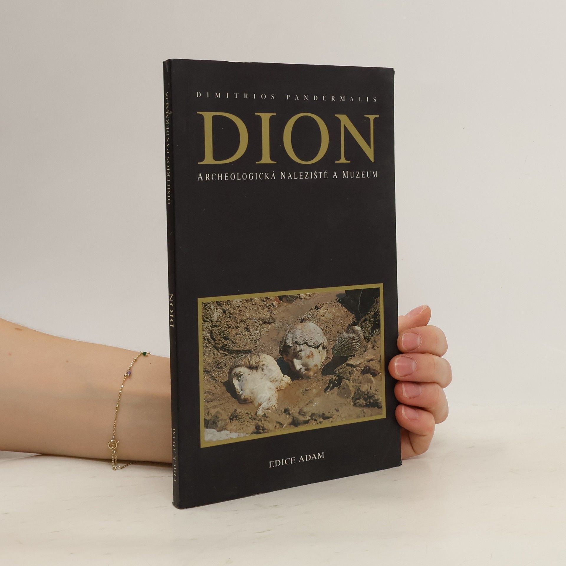 Dion archeologická naleziště a muzeum