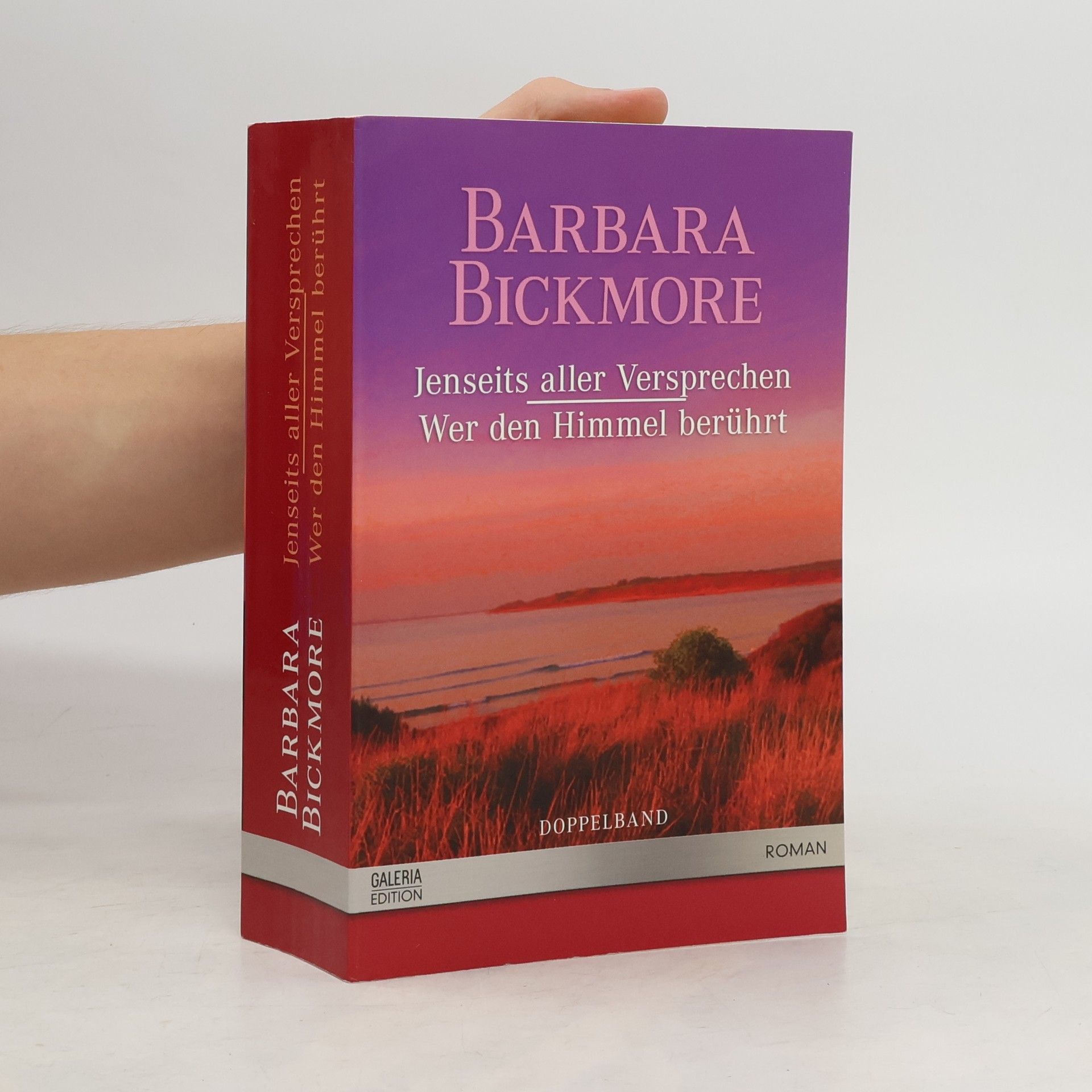 Barbara Bickmore Jenseits aller Versprechen; Wer den Himmel berührt