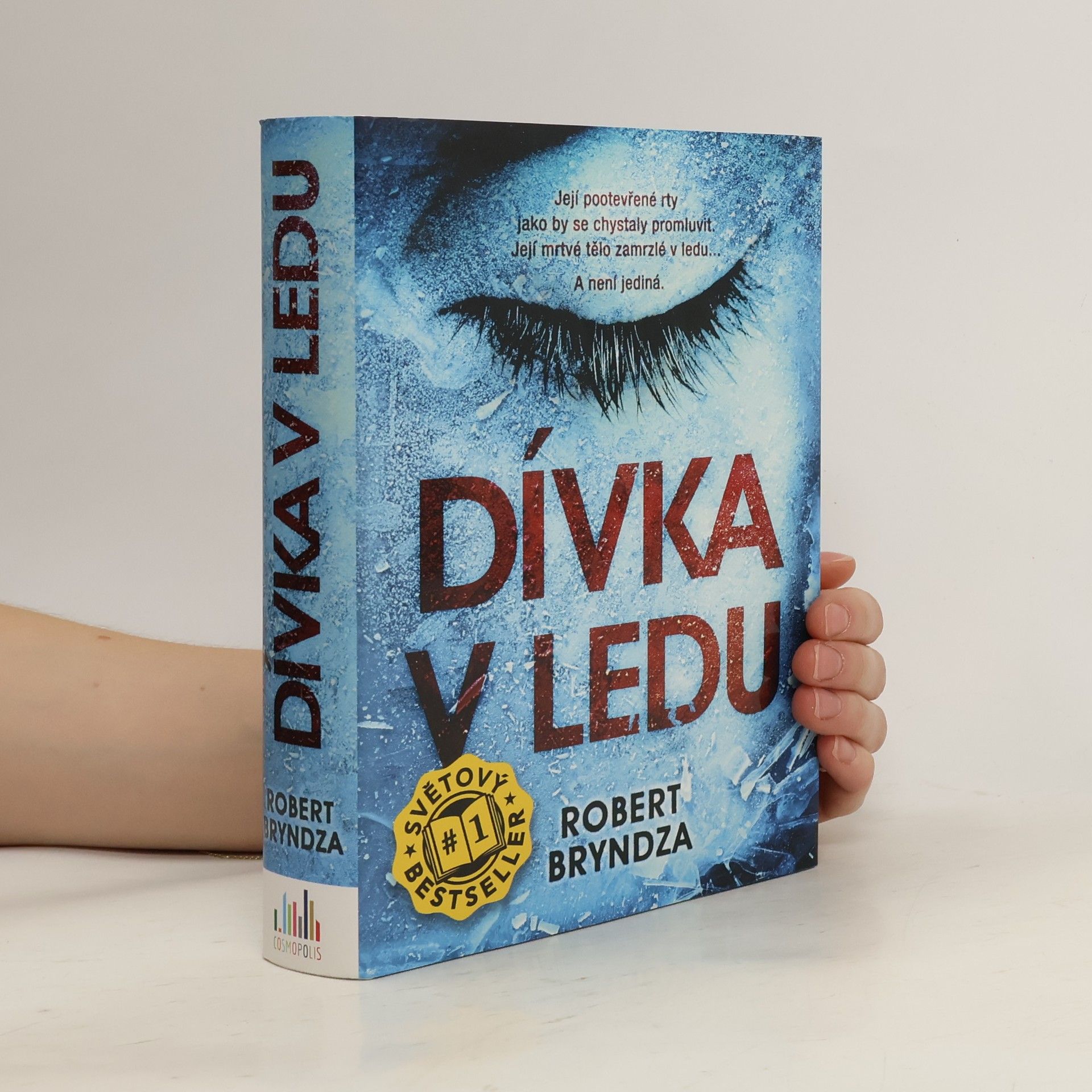 Robert Bryndza Dívka v ledu