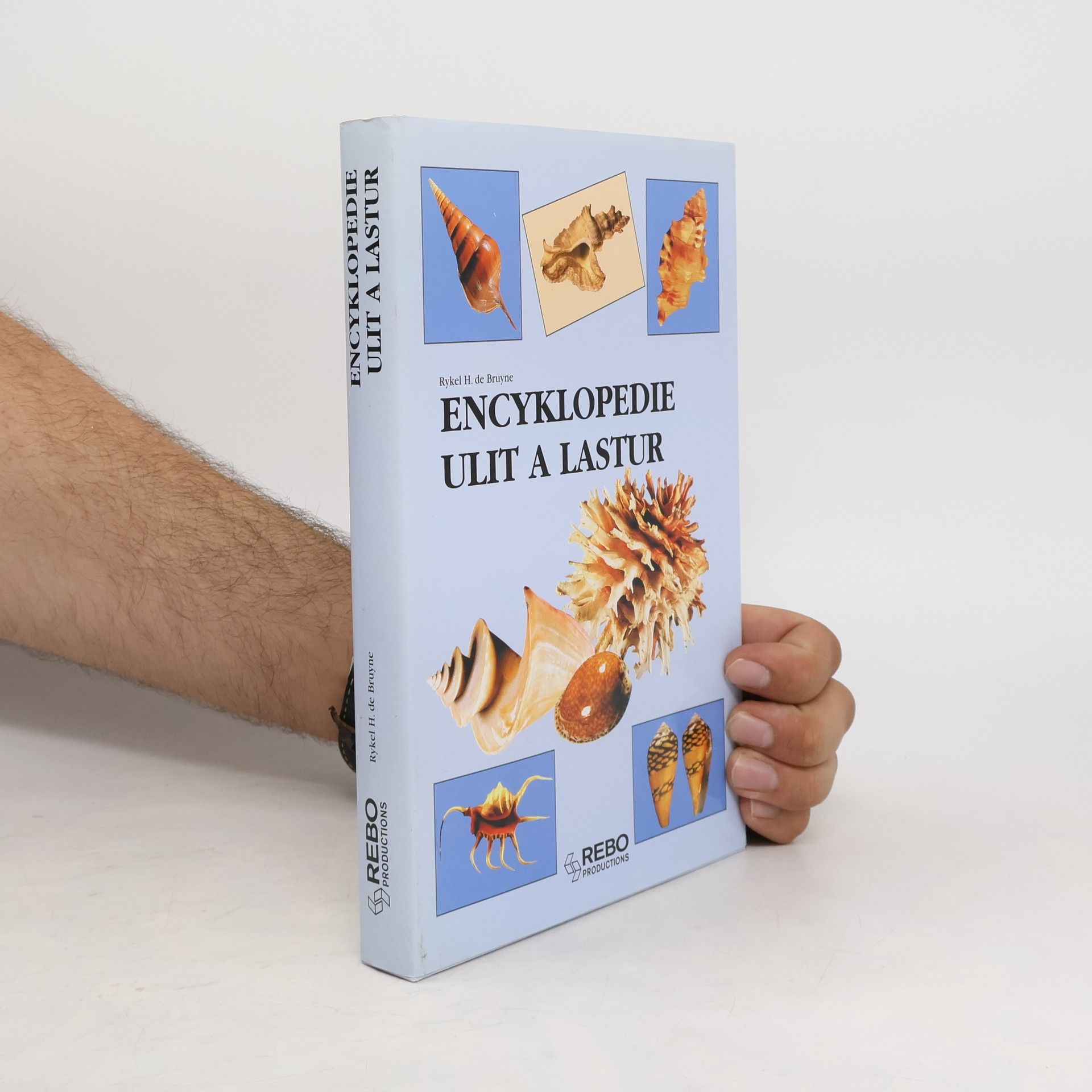 R. H. de Rykel H. Bruyne Encyklopedie ulit a lastur