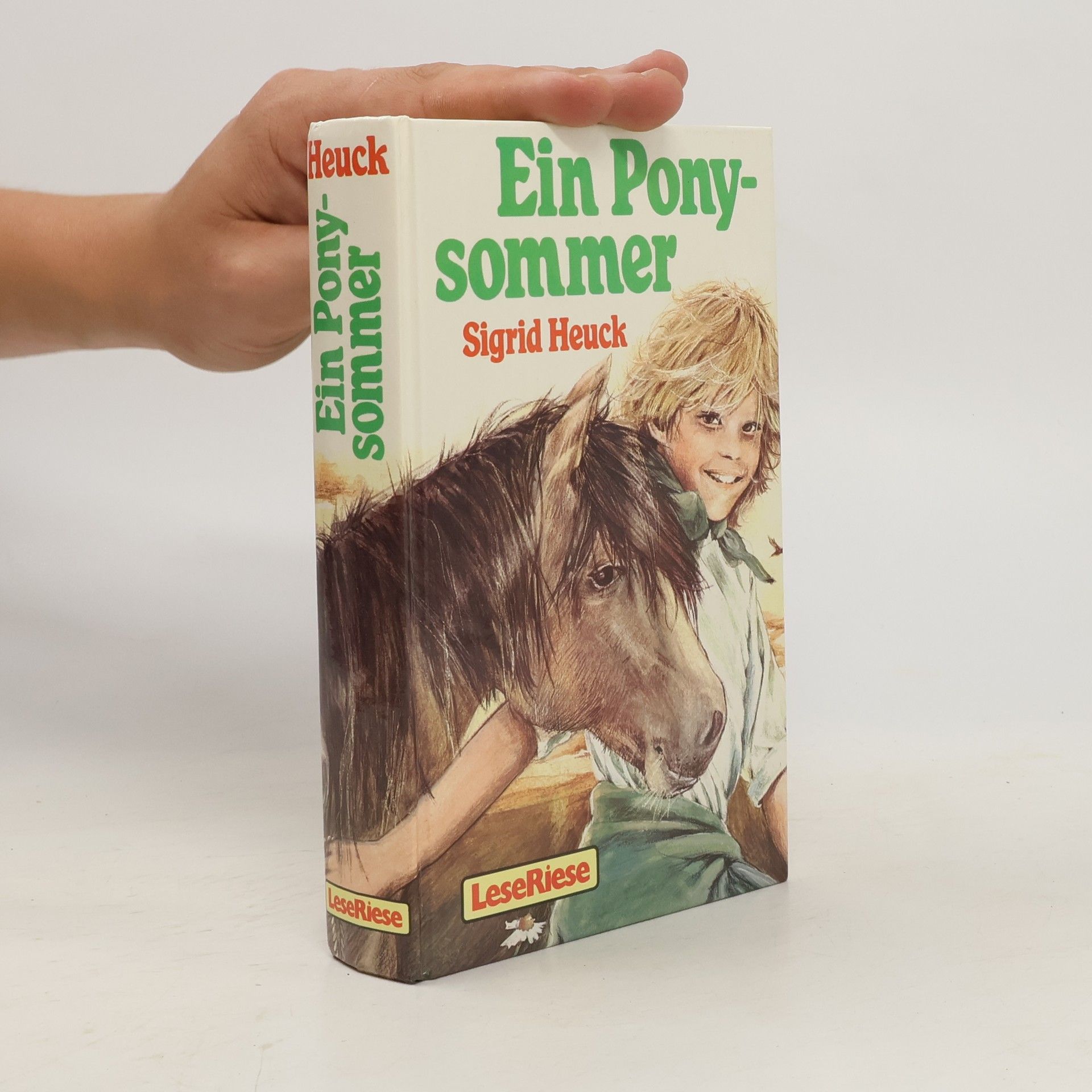Sigrid Heuck Ein Pony-sommer