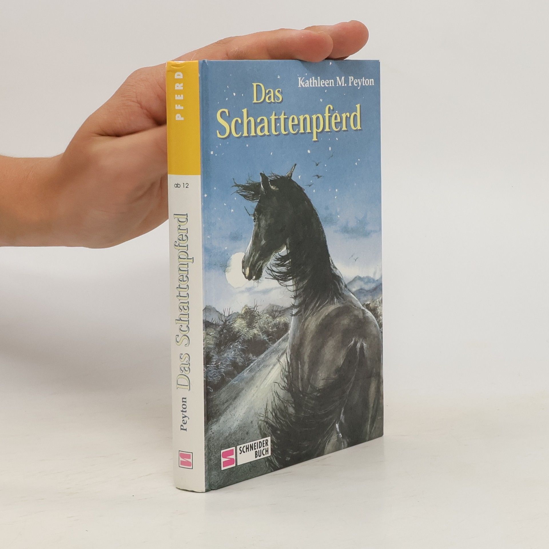 K. M. Peyton Das Schattenpferd