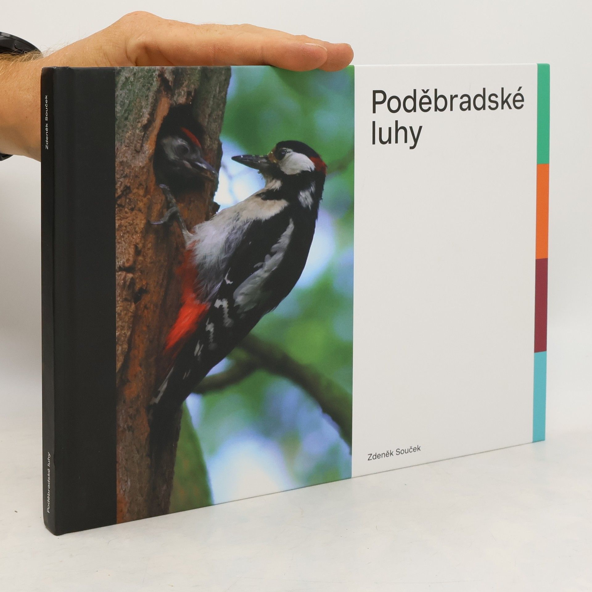 Pavel Ševčík Poděbradské luhy