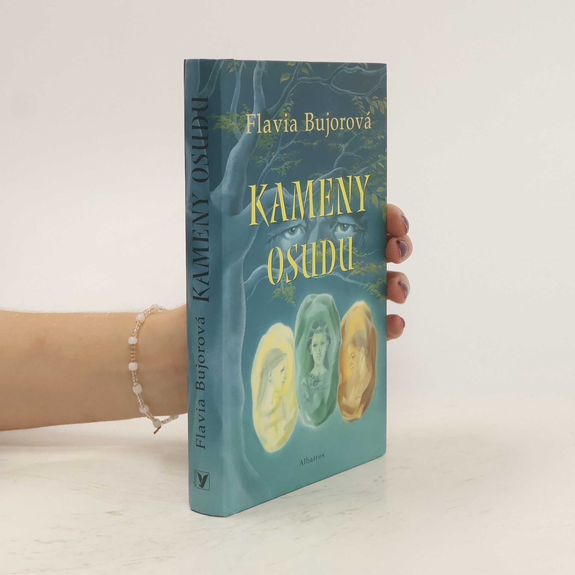 Flavia Bujor Kameny osudu