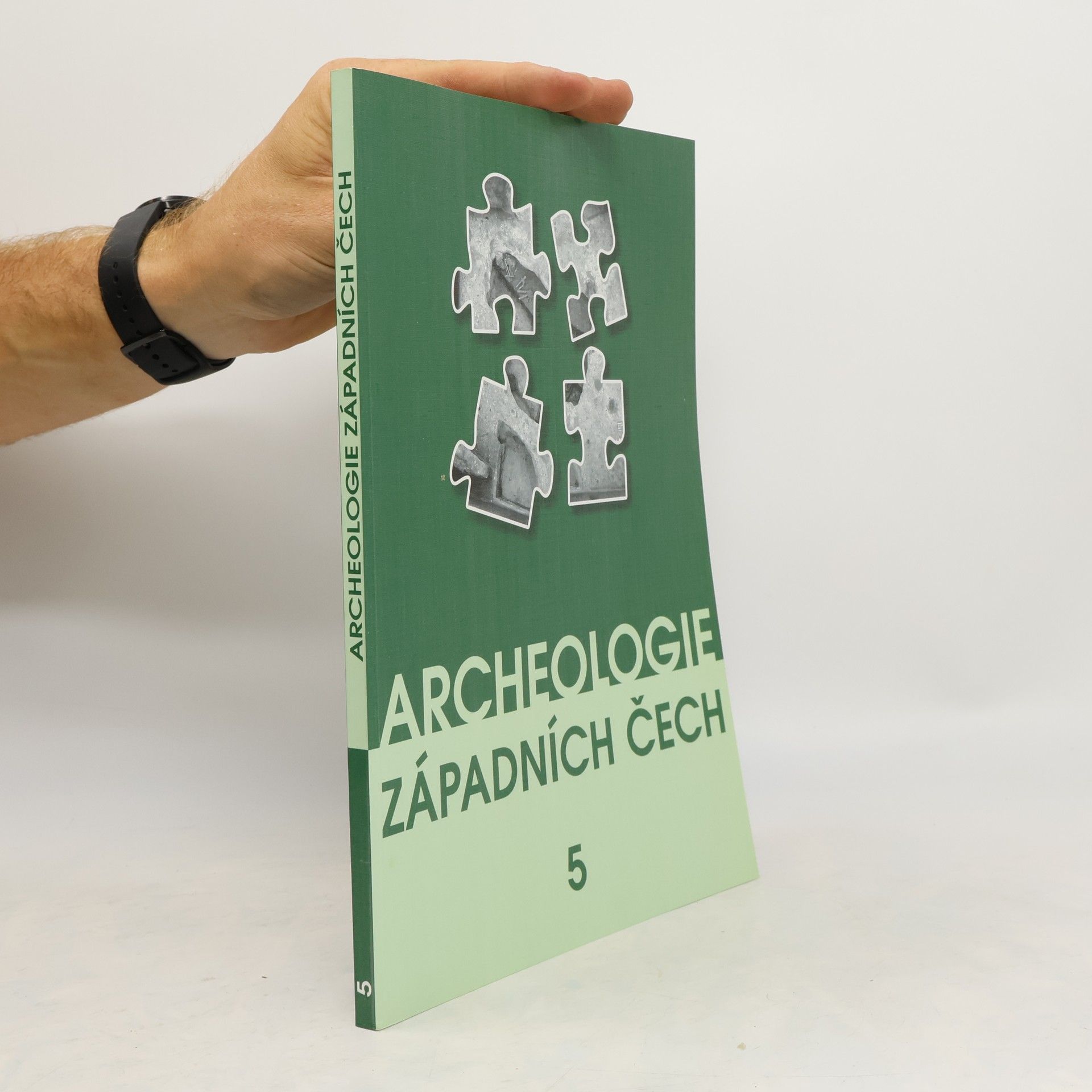 Milan Metlička Archeologie západních Čech 5