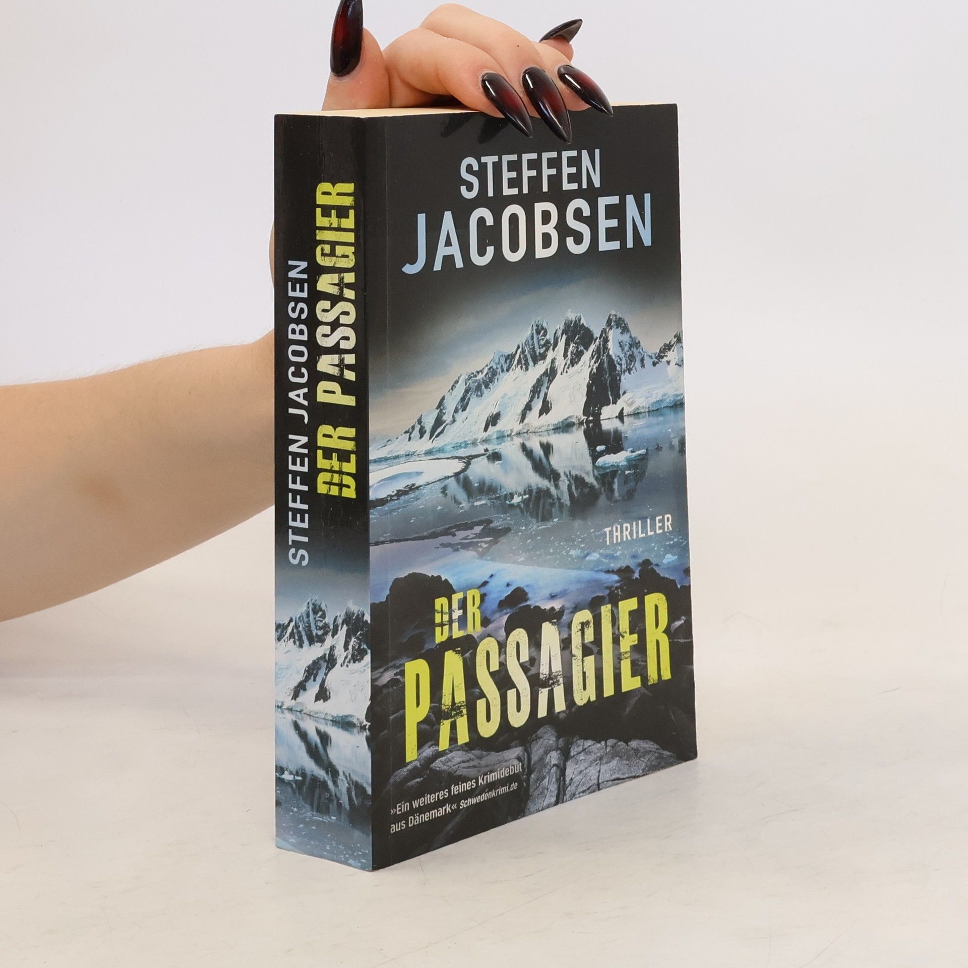 Steffen Jacobsen Der Passagier